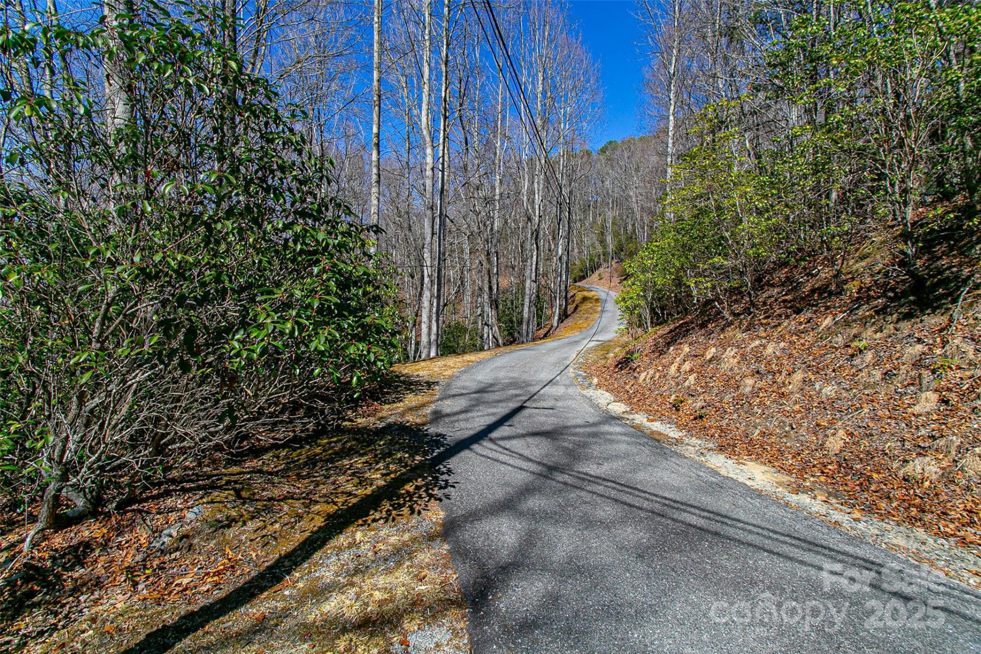 TBD Still Branch Road #L20 - Photo 16