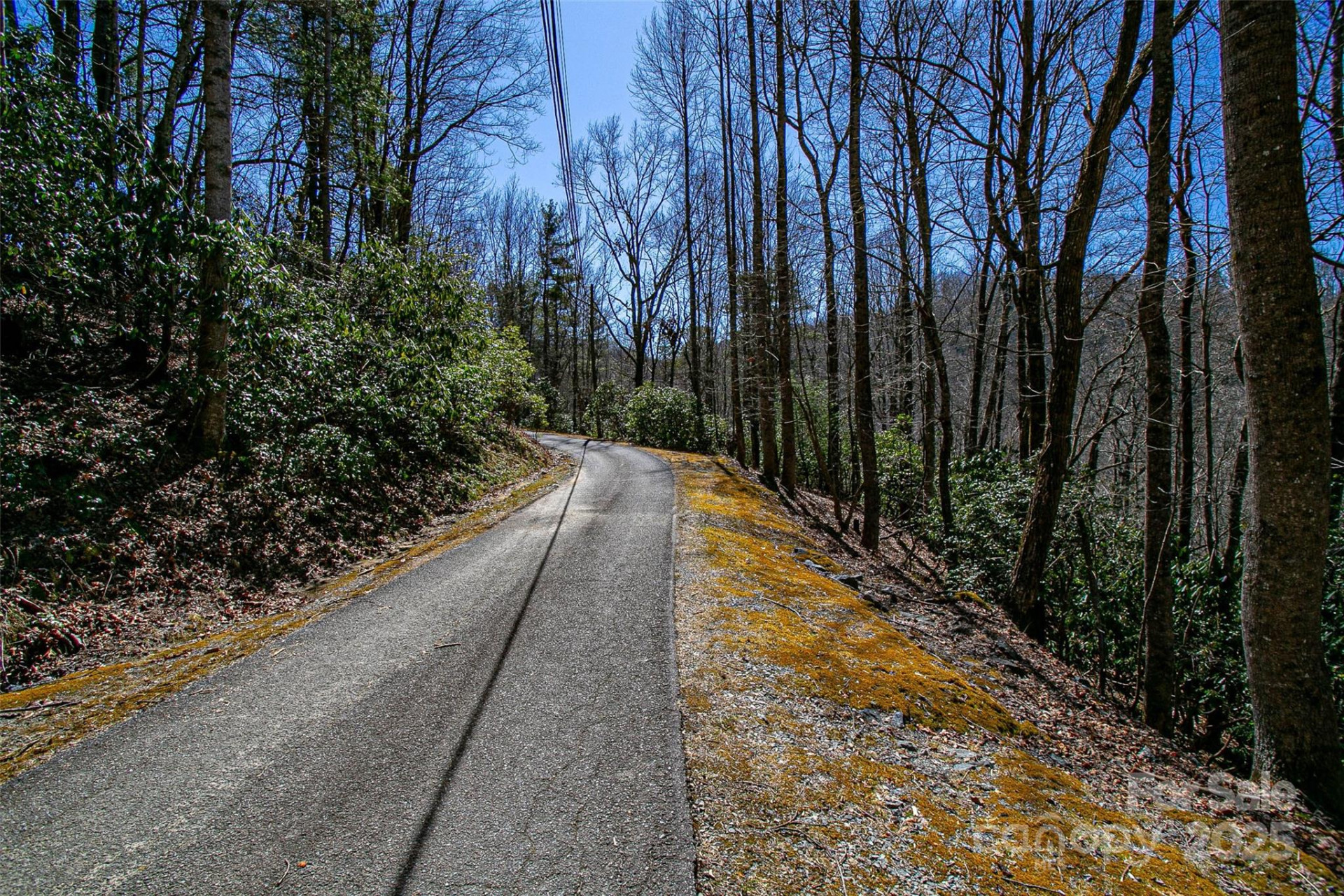 TBD Still Branch Road #L20 - Photo 18