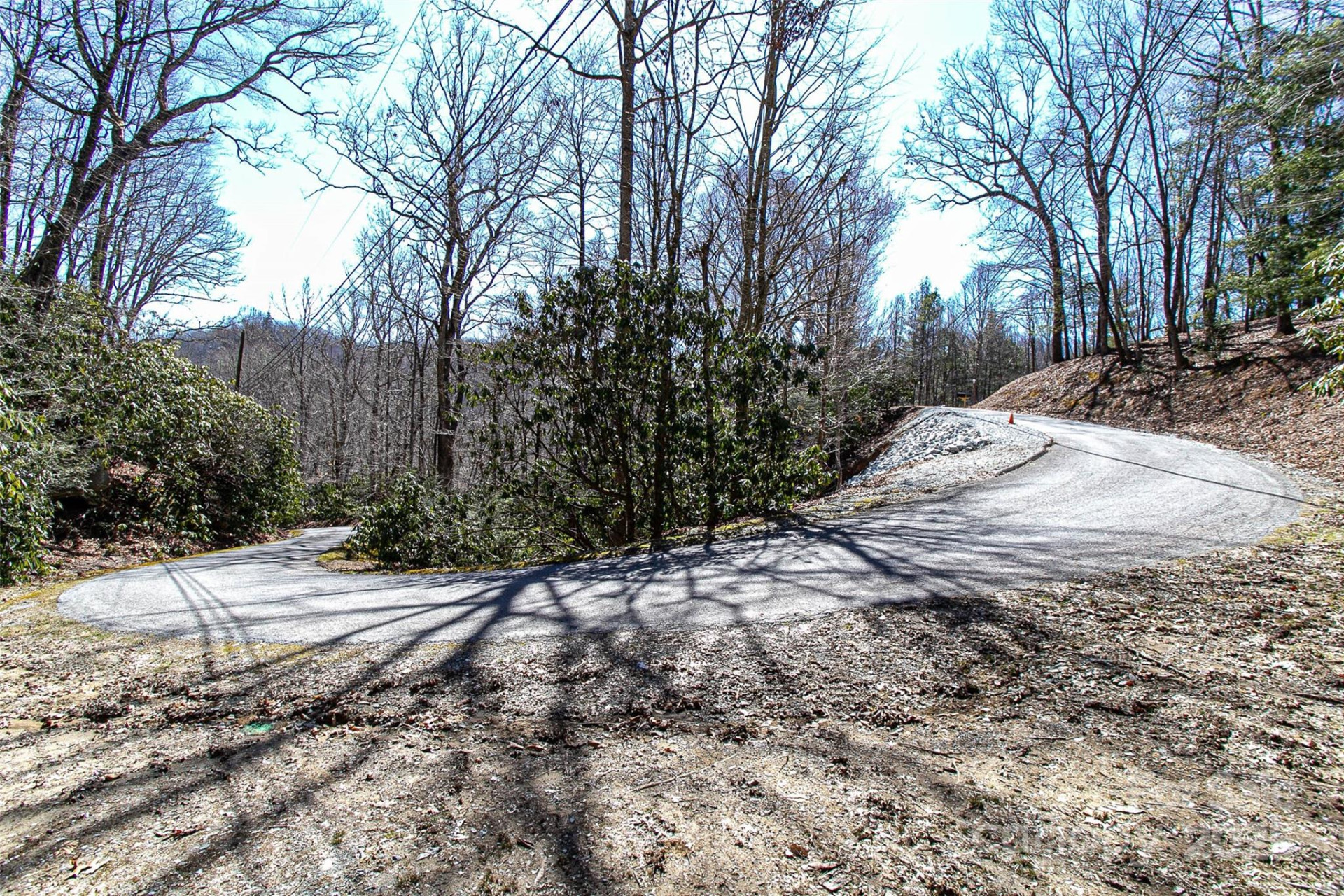 TBD Still Branch Road #L20 - Photo 19