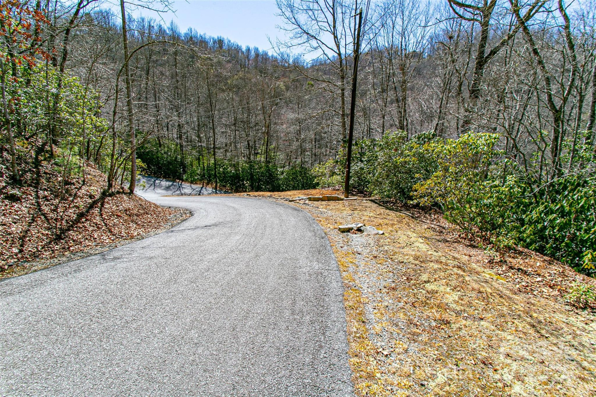 TBD Still Branch Road #L20 - Photo 20