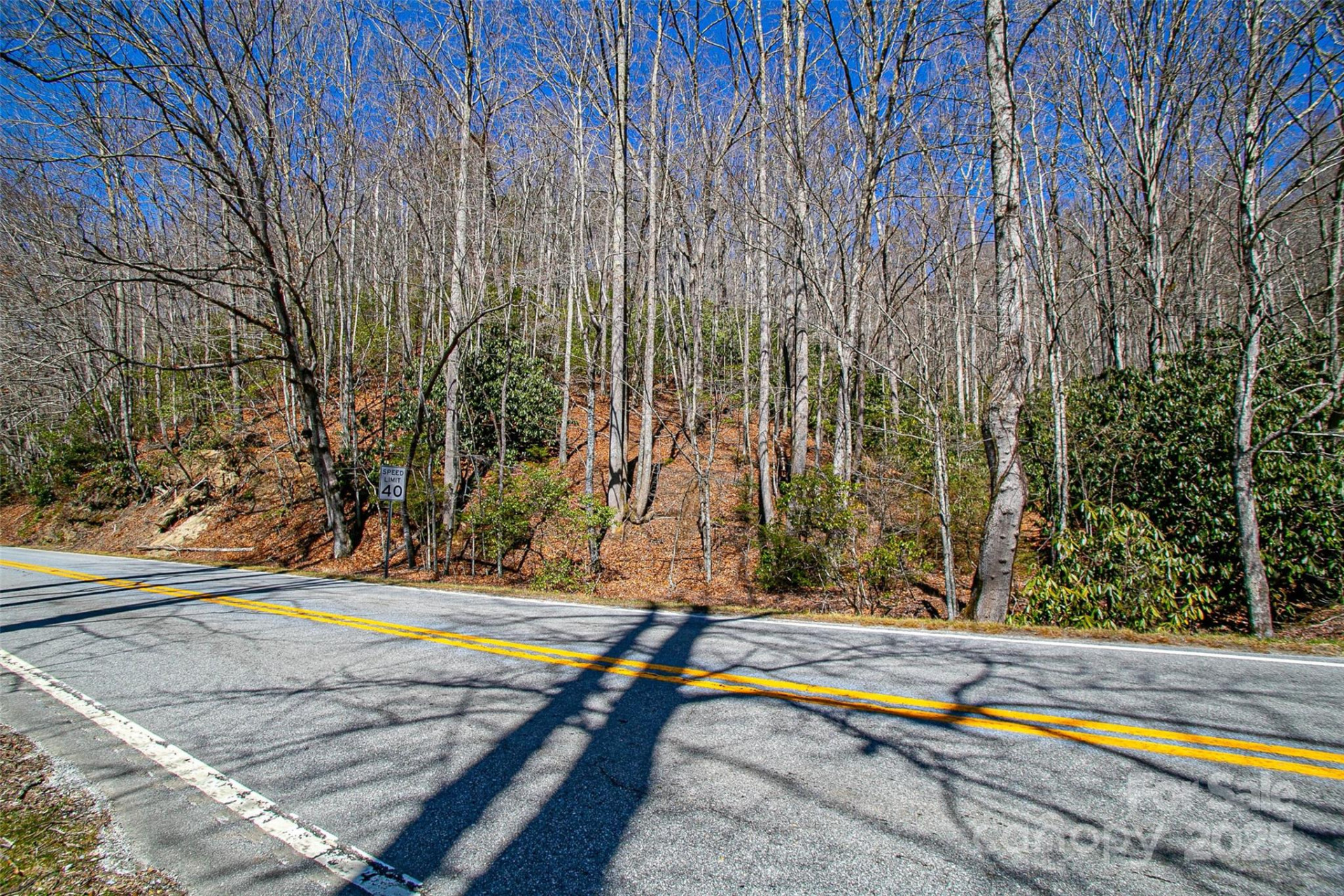 TBD Still Branch Road #L20 - Photo 22