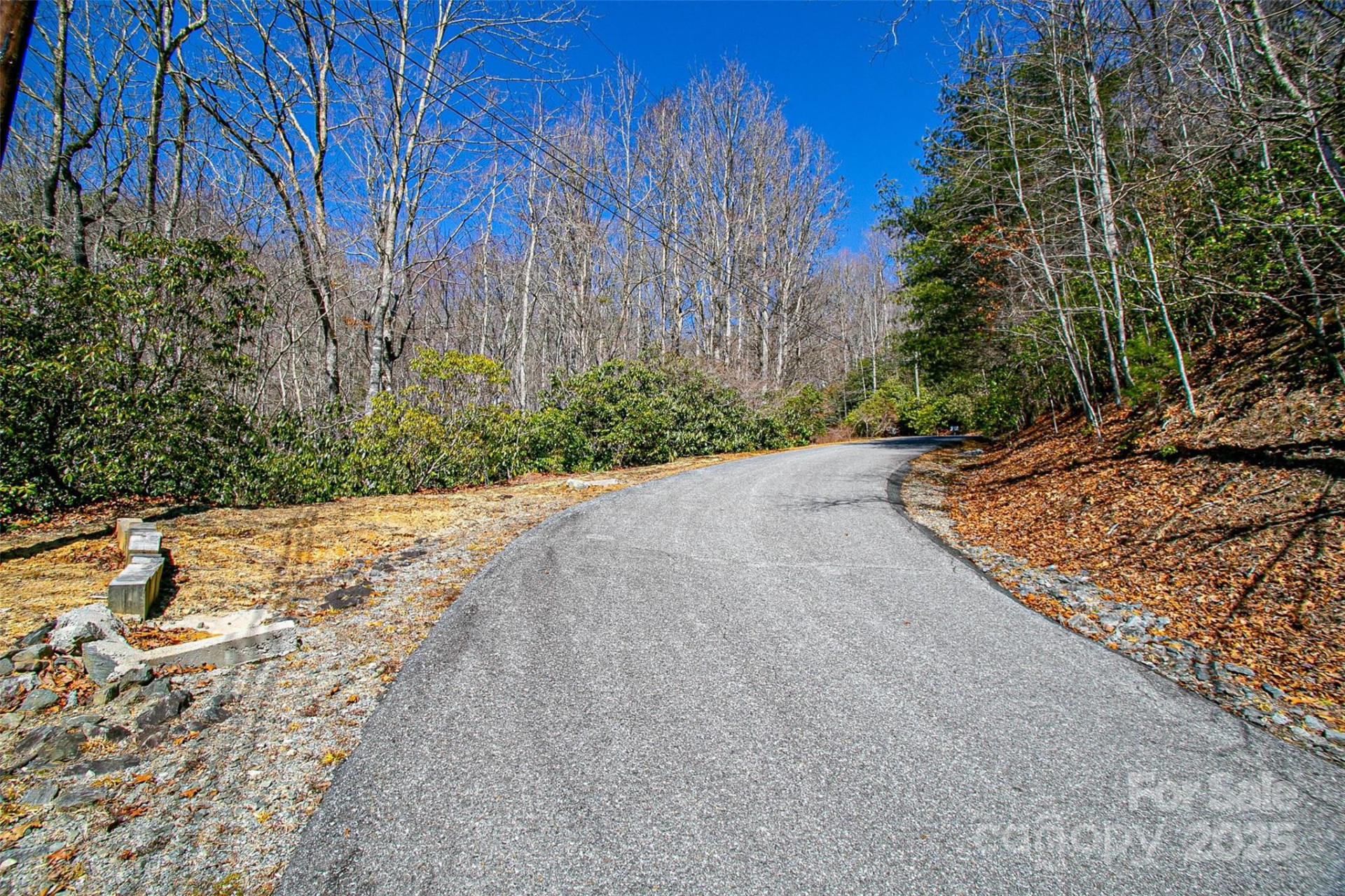 TBD Still Branch Road #L20 - Photo 23