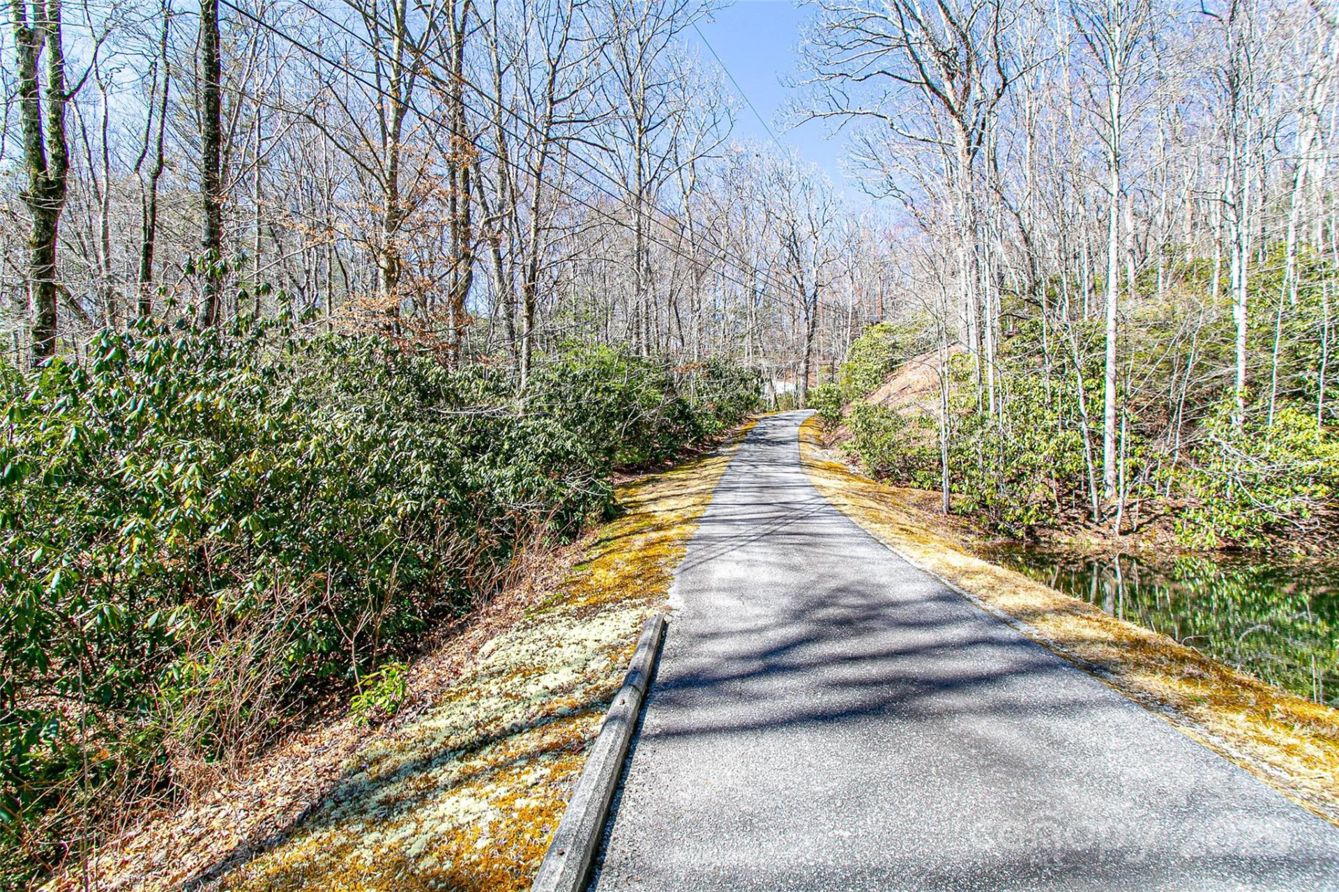 TBD Still Branch Road #L20 - Photo 24