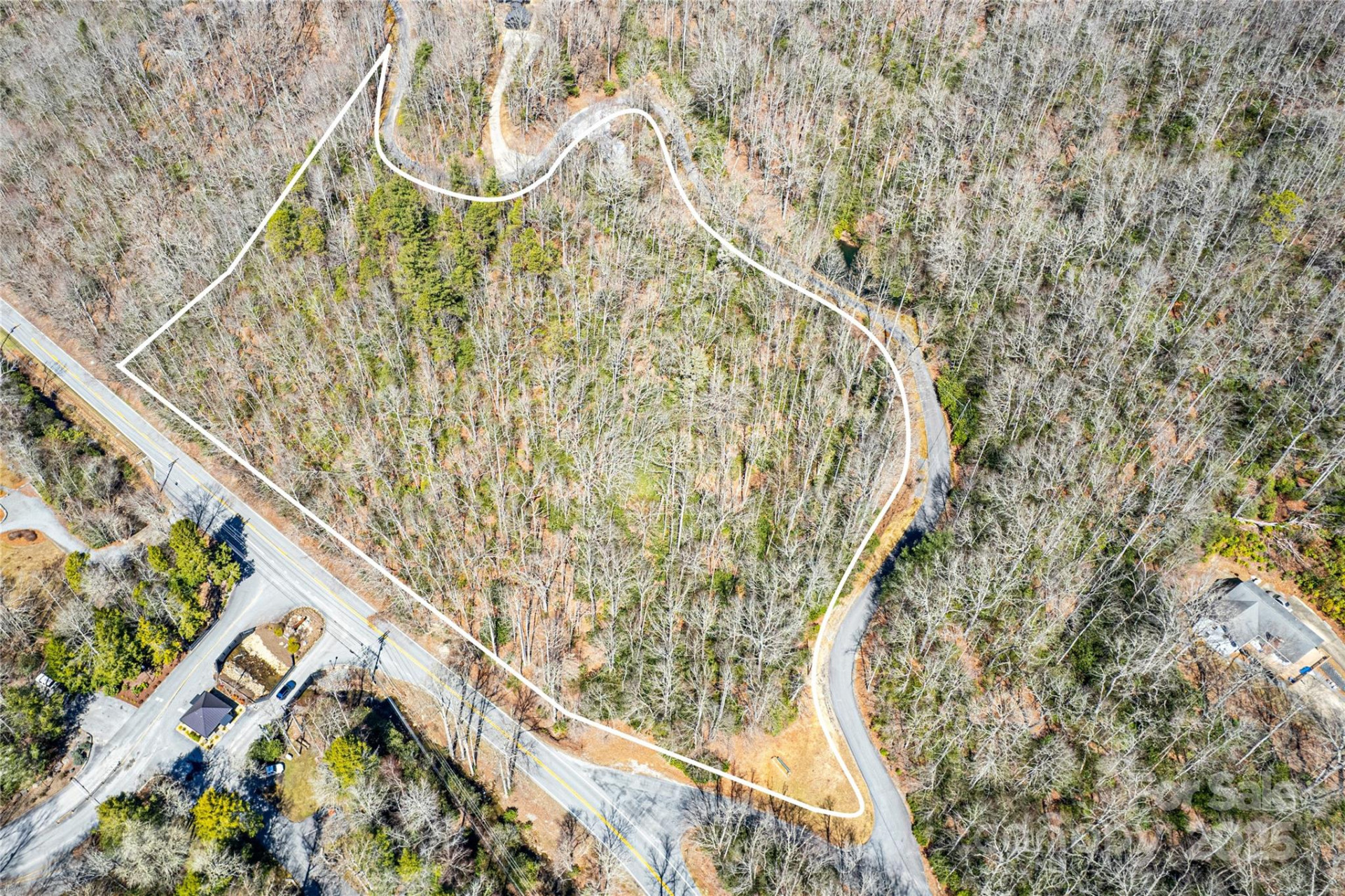 TBD Still Branch Road #L20 - Photo 5