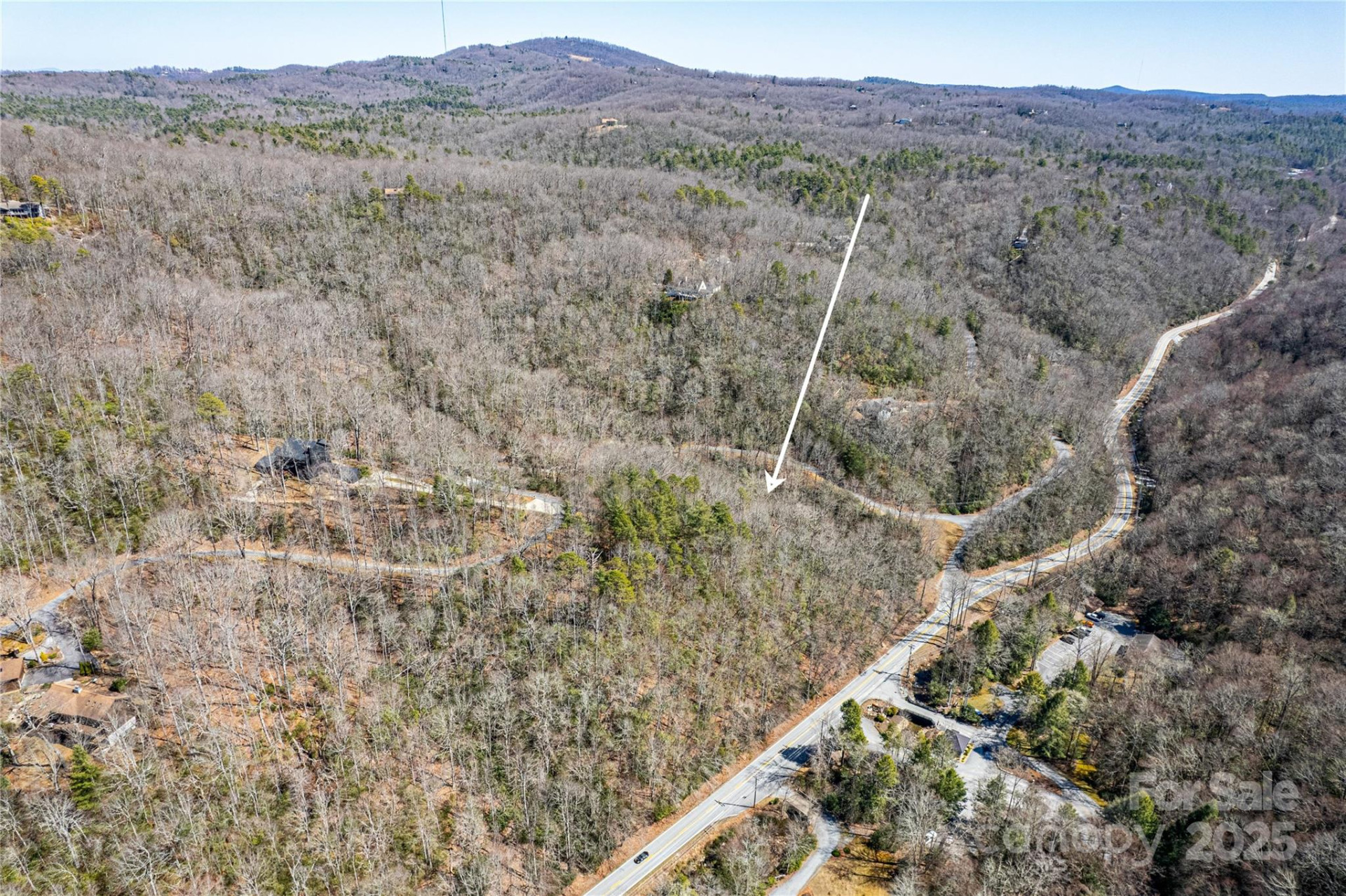 TBD Still Branch Road #L20 - Photo 7