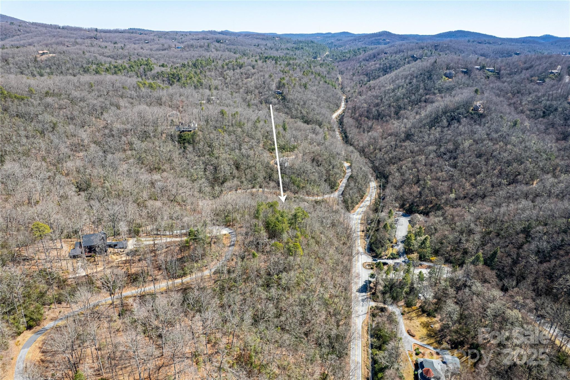 TBD Still Branch Road #L20 - Photo 8