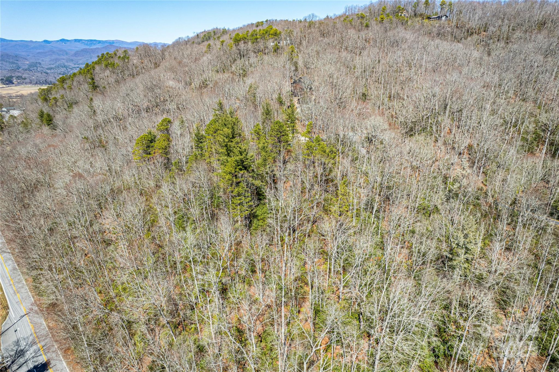 TBD Still Branch Road #L20 - Photo 10