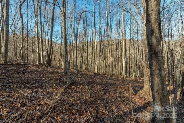 885 Stoney Stream Lane, Arden, NC, 28704