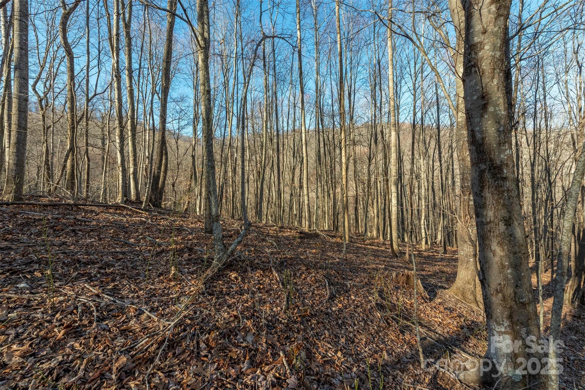 885 Stoney Stream Lane