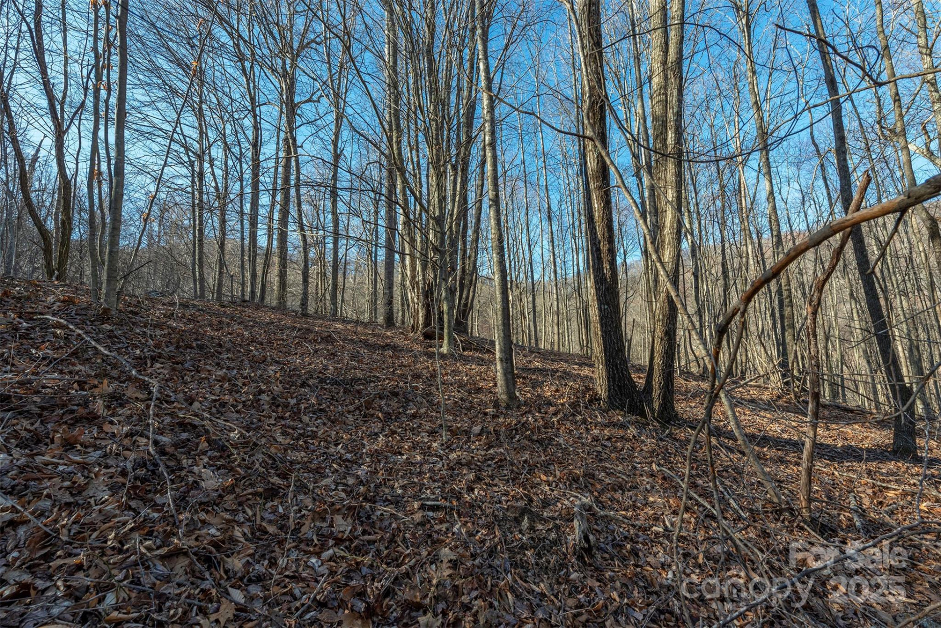 885 Stoney Stream Lane - Photo 11