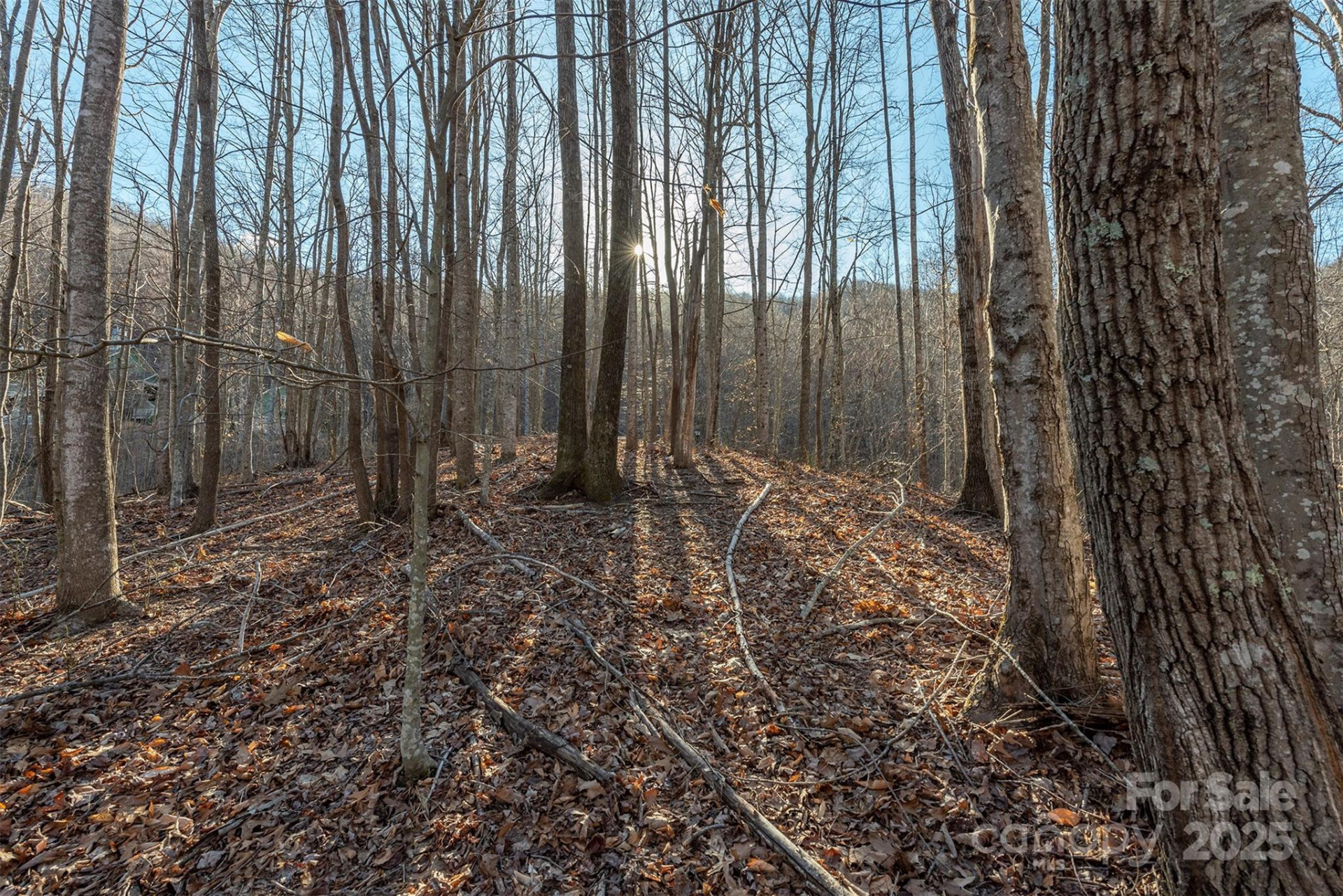 885 Stoney Stream Lane - Photo 12