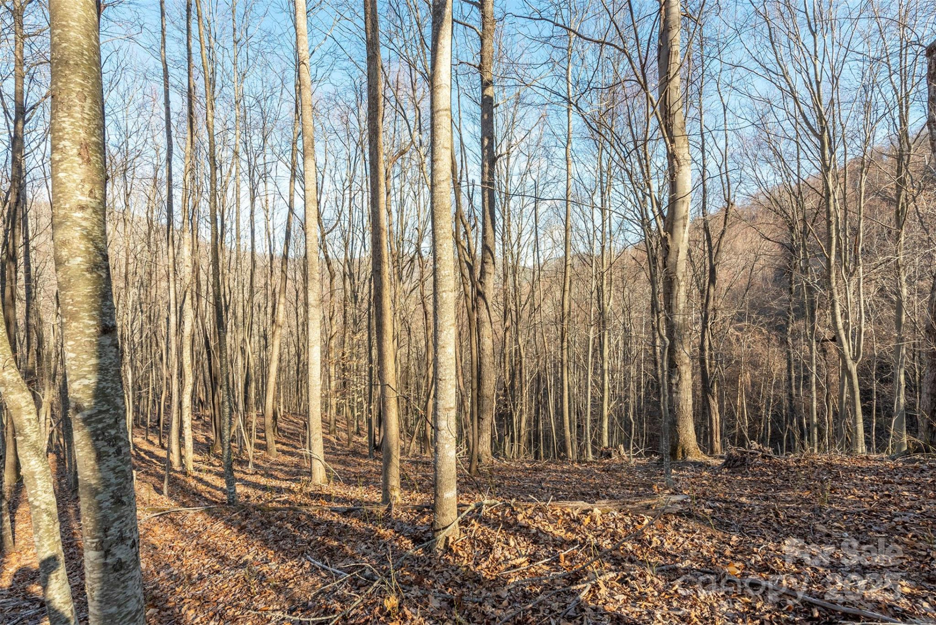 885 Stoney Stream Lane - Photo 3