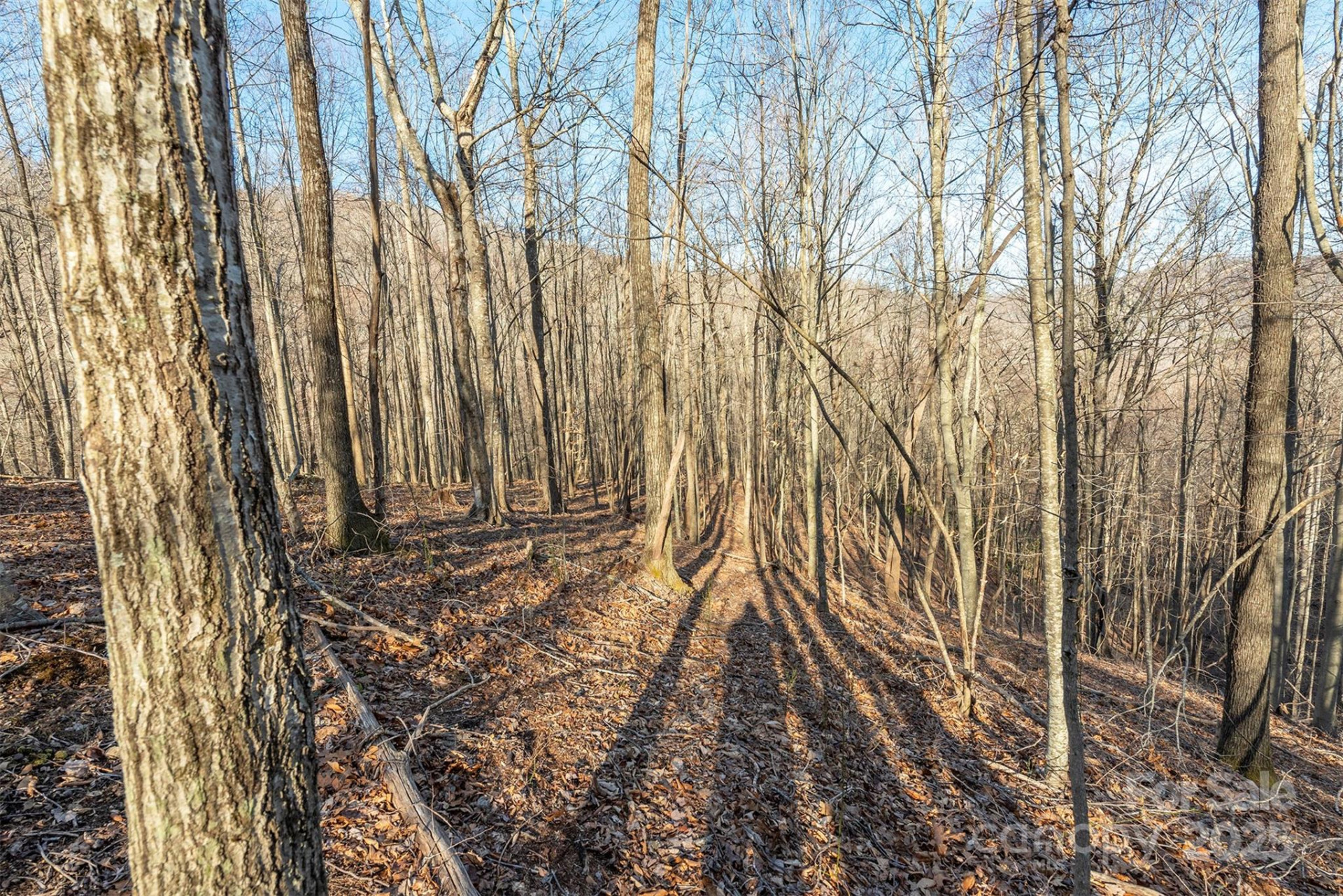 885 Stoney Stream Lane - Photo 4