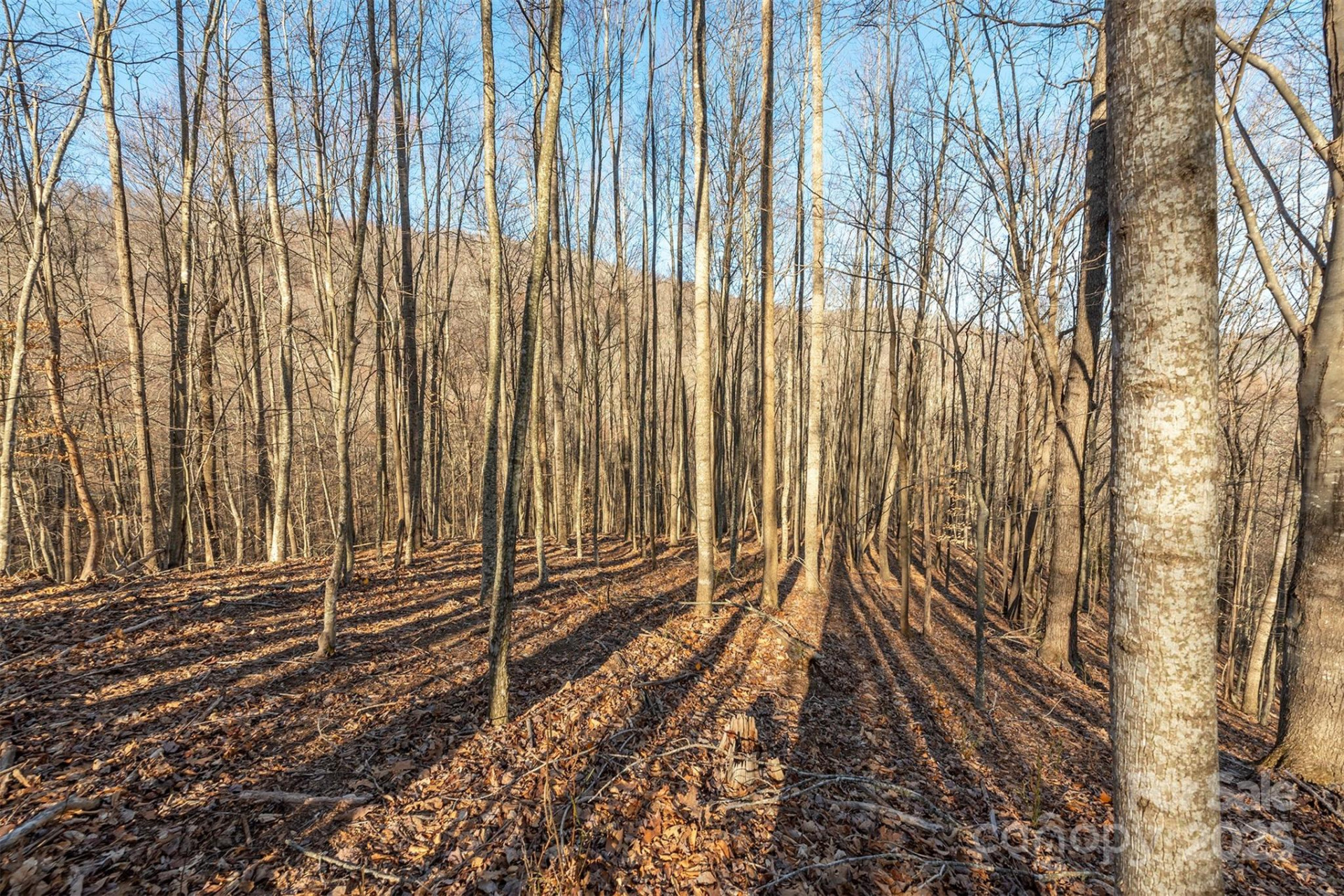 885 Stoney Stream Lane - Photo 5