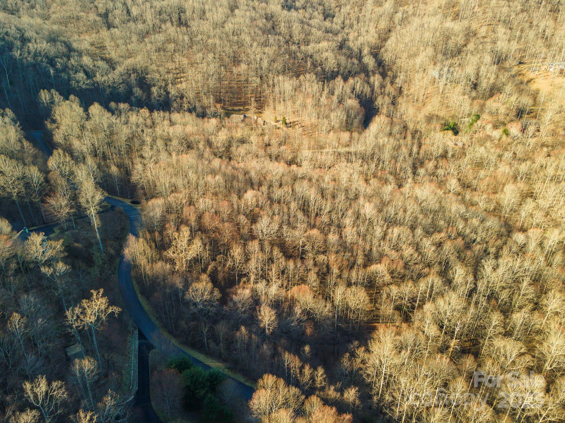 885 Stoney Stream Lane - Photo 7