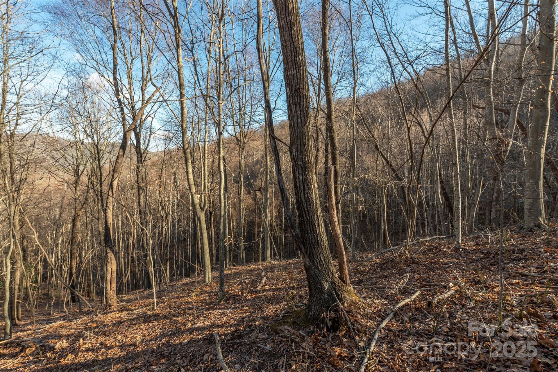 885 Stoney Stream Lane - Photo 8