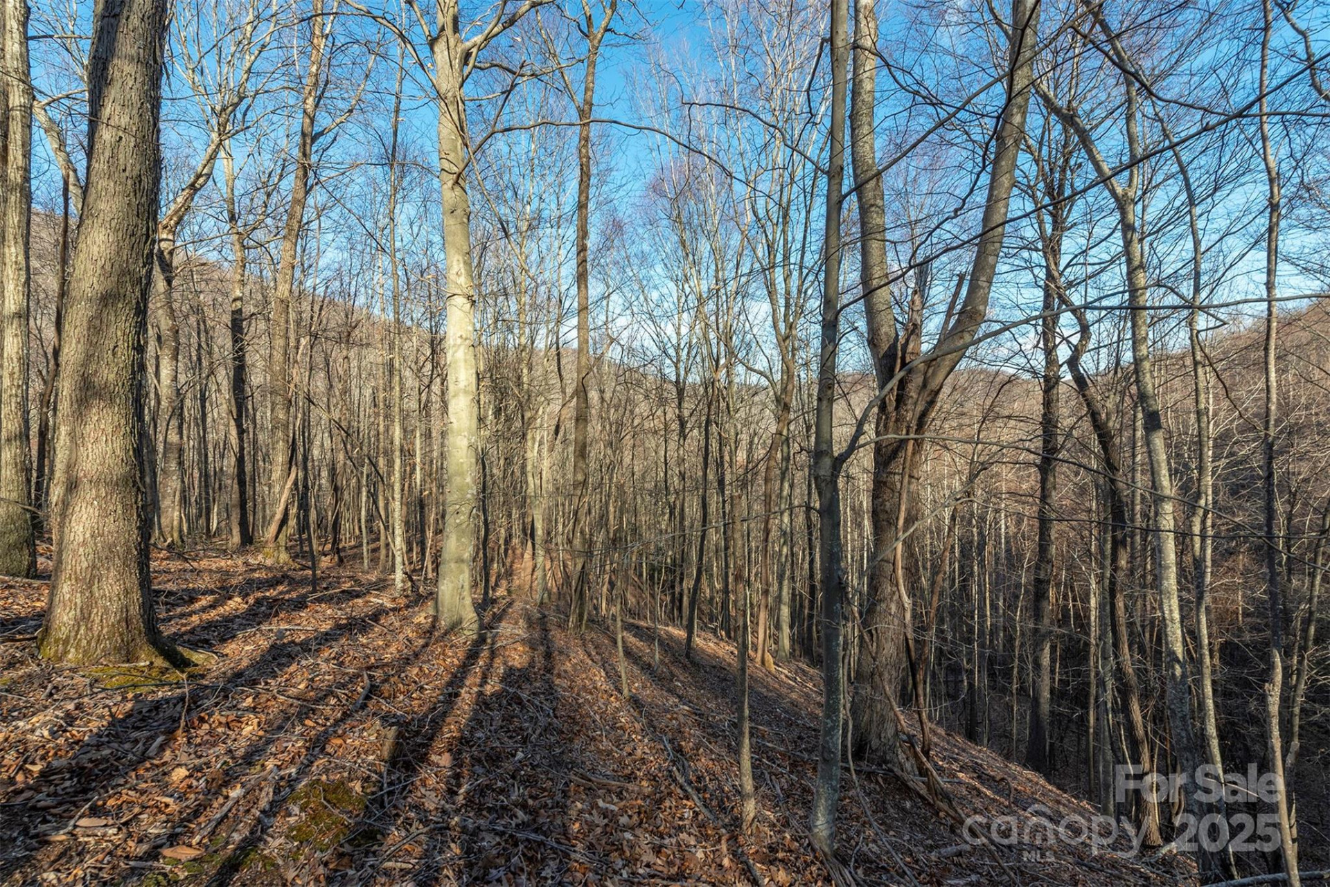 885 Stoney Stream Lane - Photo 9