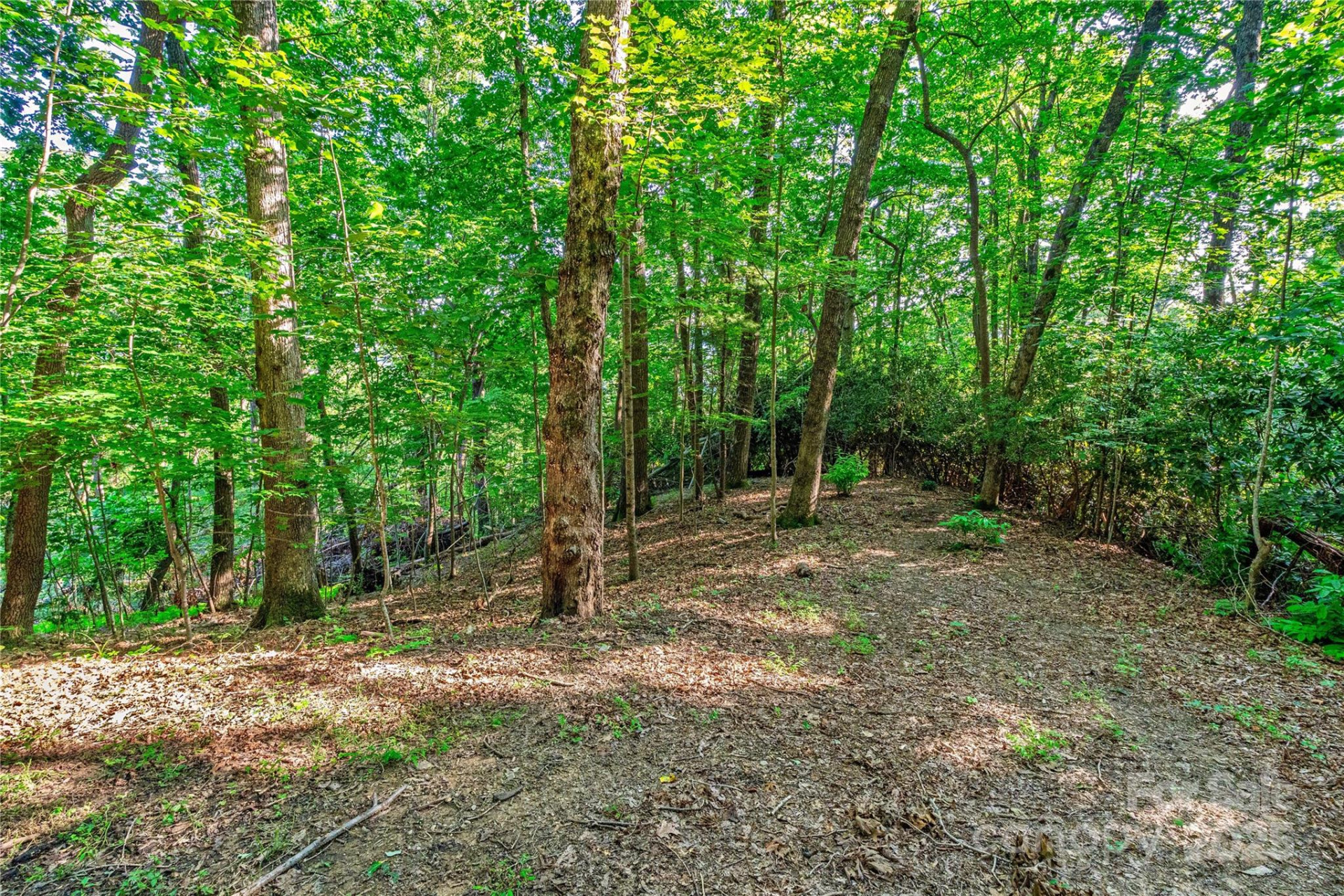 Lot W13 Curtain Bluff - Photo 6