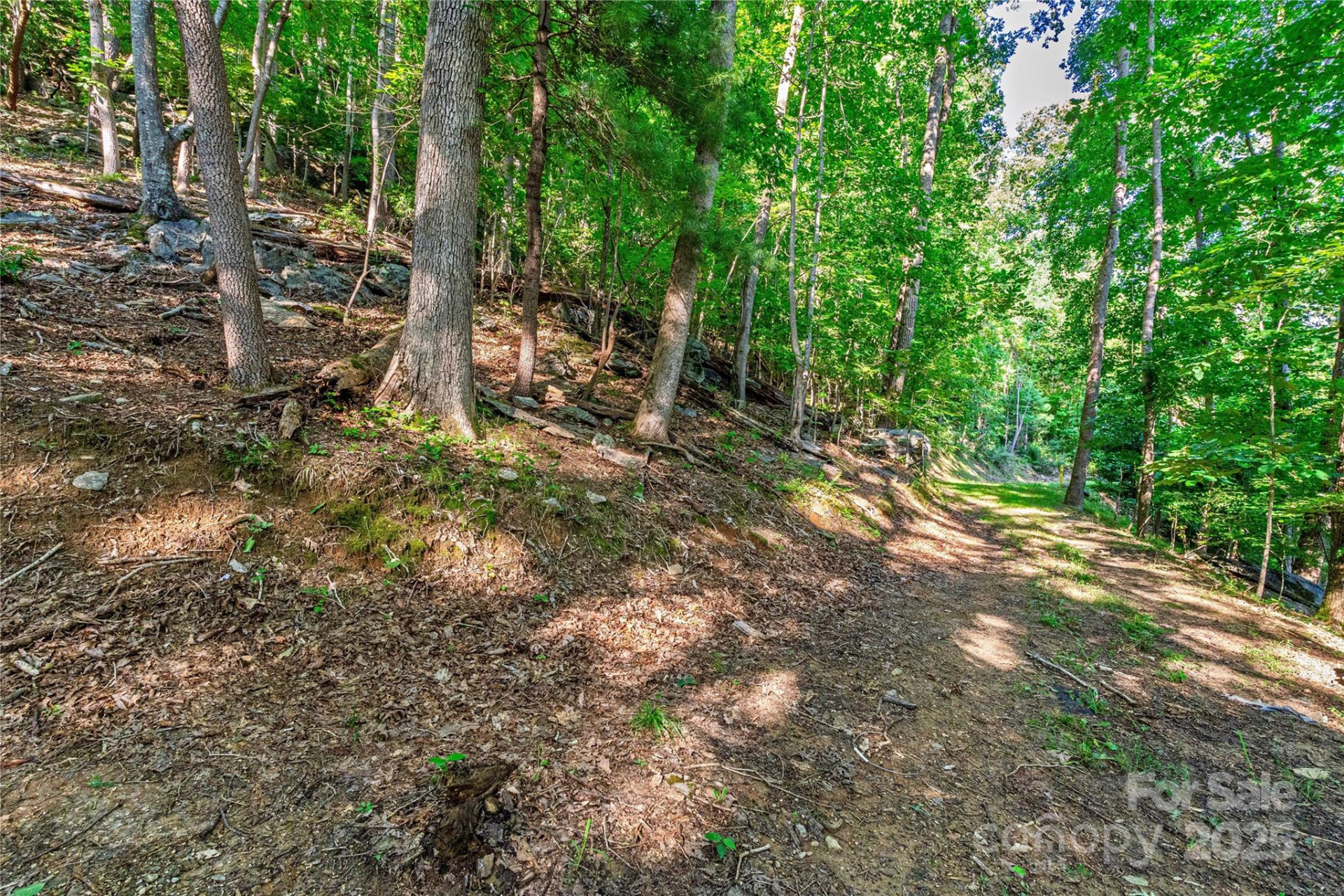 Lot W13 Curtain Bluff - Photo 7