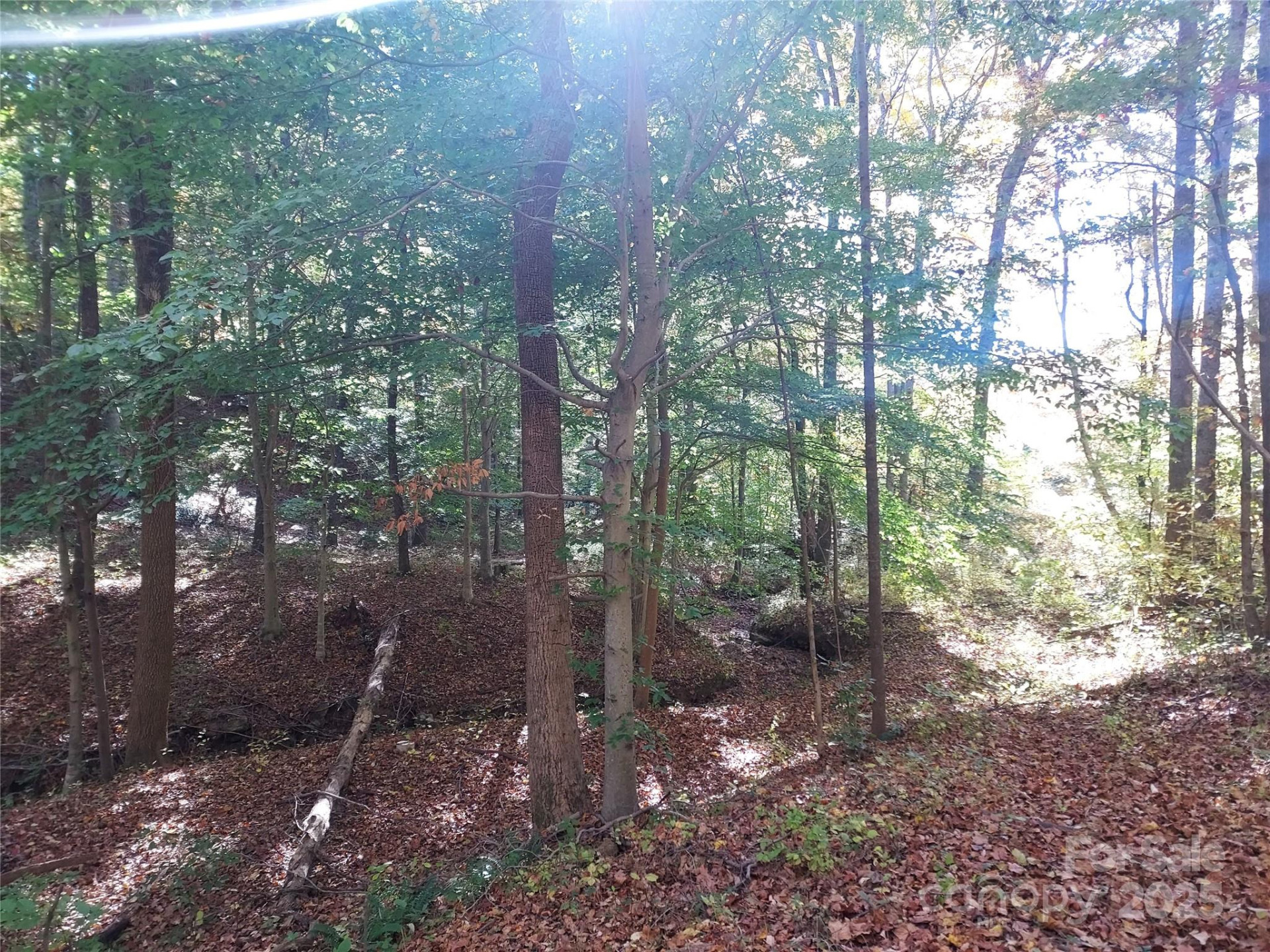 5 Acres Blue Ridge Trail - Photo 2