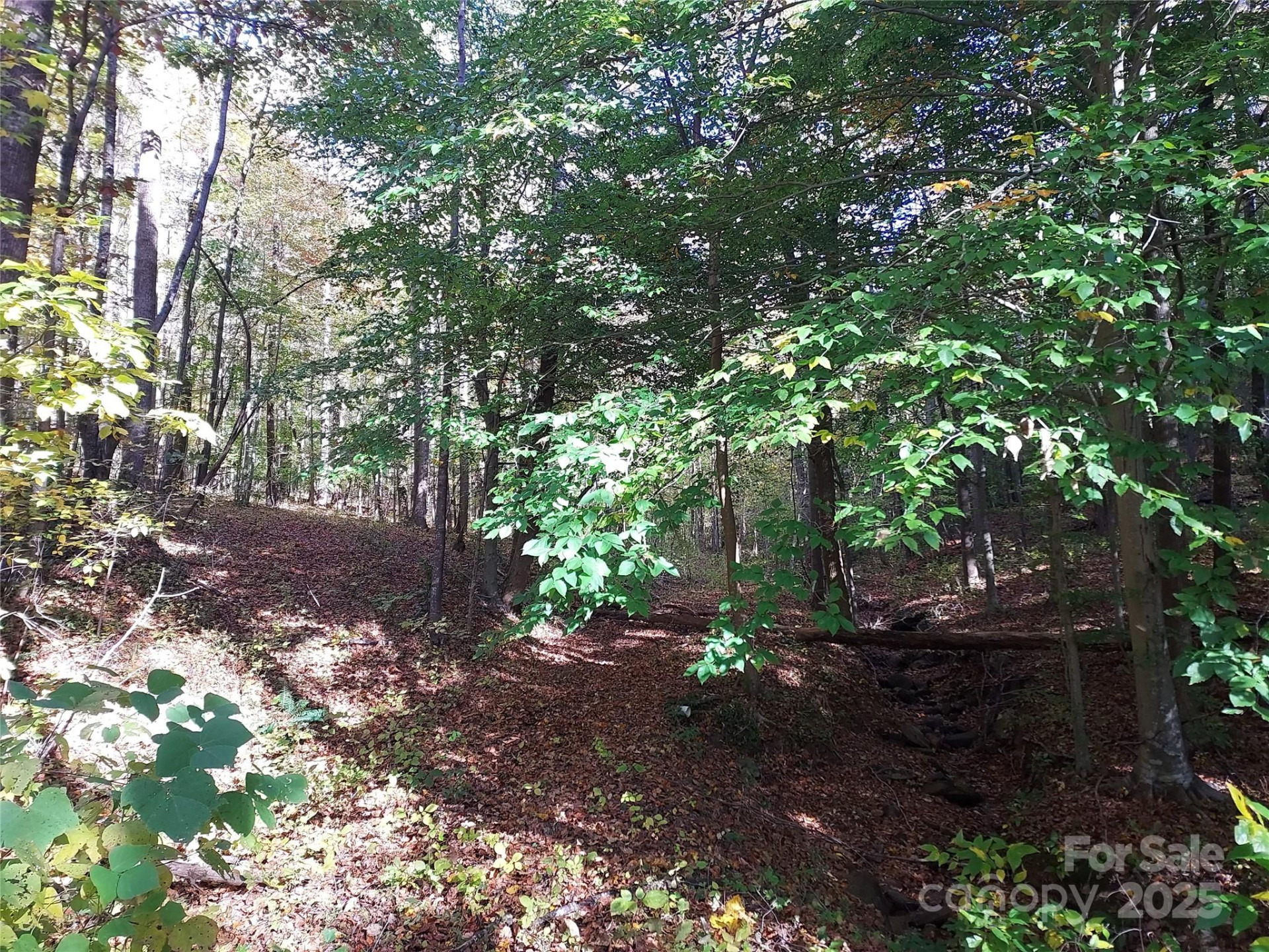 5 Acres Blue Ridge Trail - Photo 11