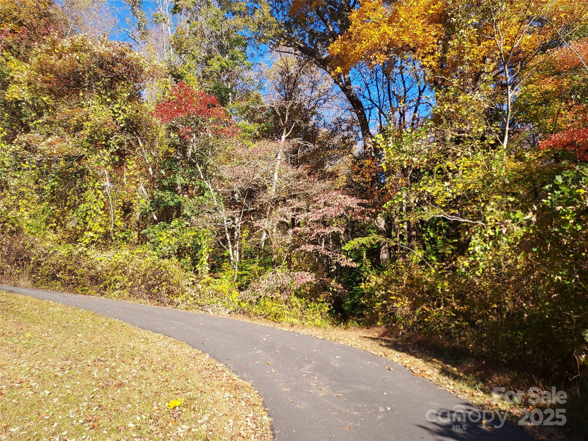 5 Acres Blue Ridge Trail - Photo 14