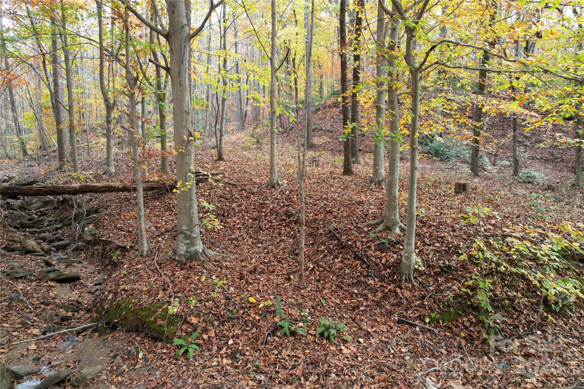 5 Acres Blue Ridge Trail - Photo 16