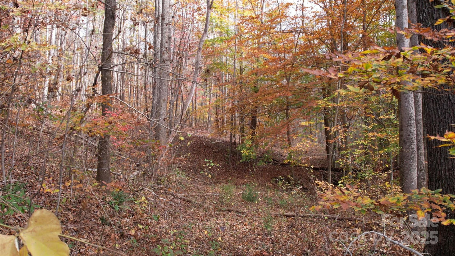 5 Acres Blue Ridge Trail - Photo 17