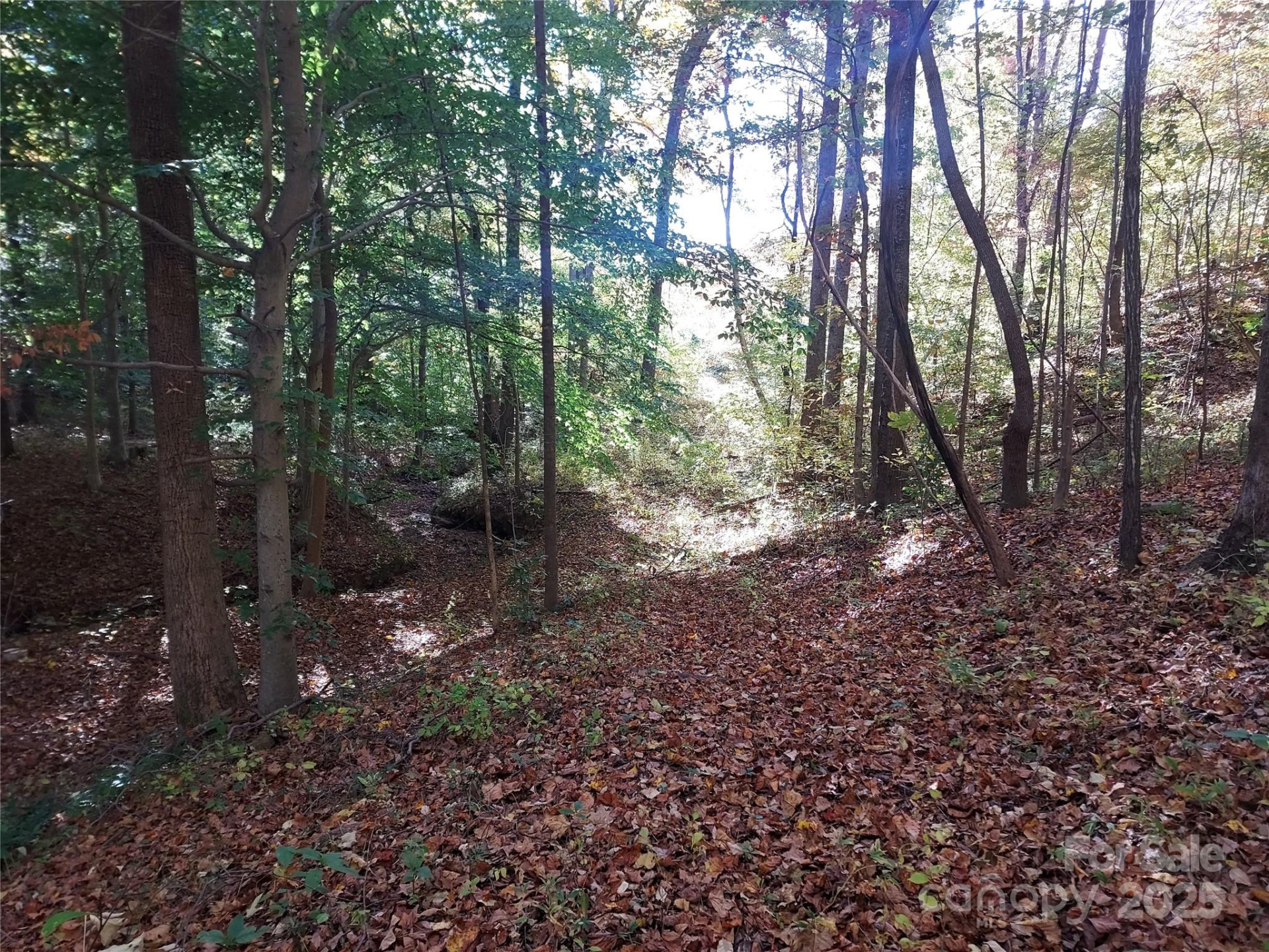 5 Acres Blue Ridge Trail - Photo 3