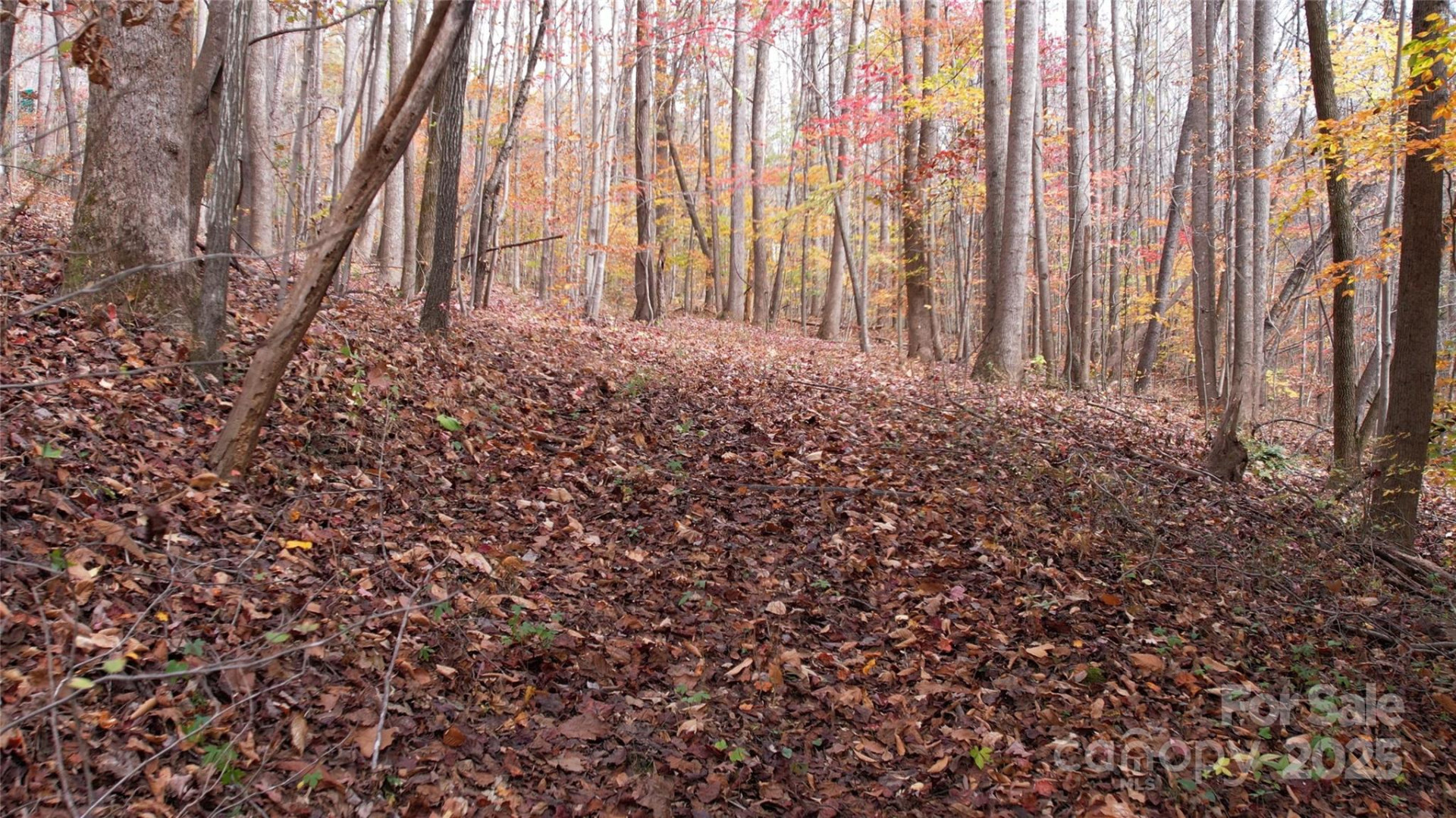 5 Acres Blue Ridge Trail - Photo 21