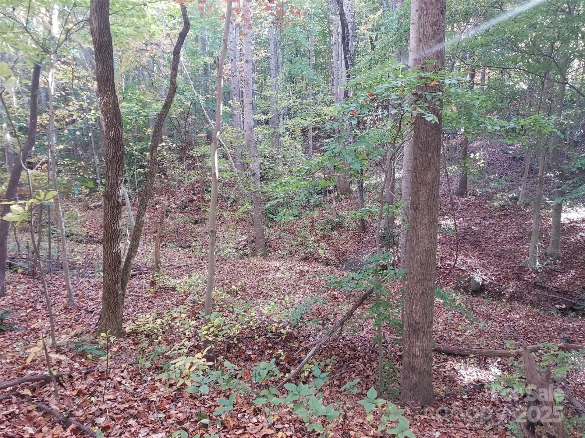 5 Acres Blue Ridge Trail - Photo 5