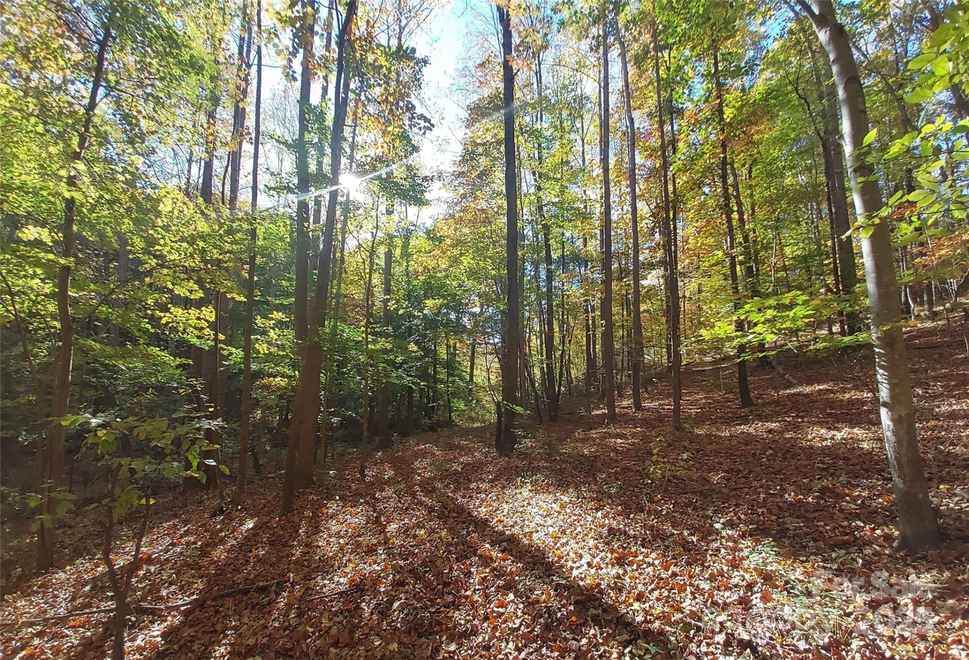 5 Acres Blue Ridge Trail - Photo 6