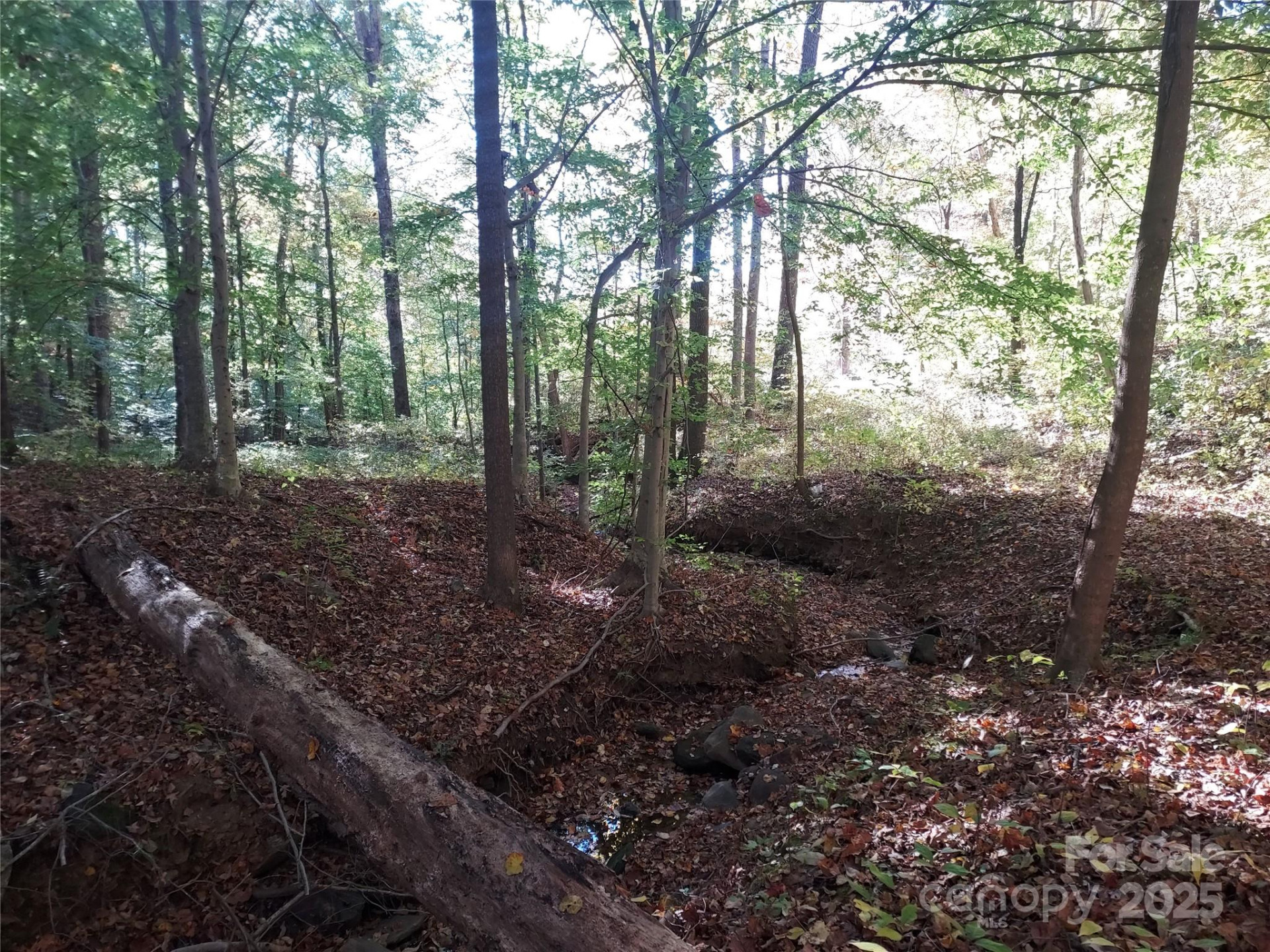 5 Acres Blue Ridge Trail - Photo 10