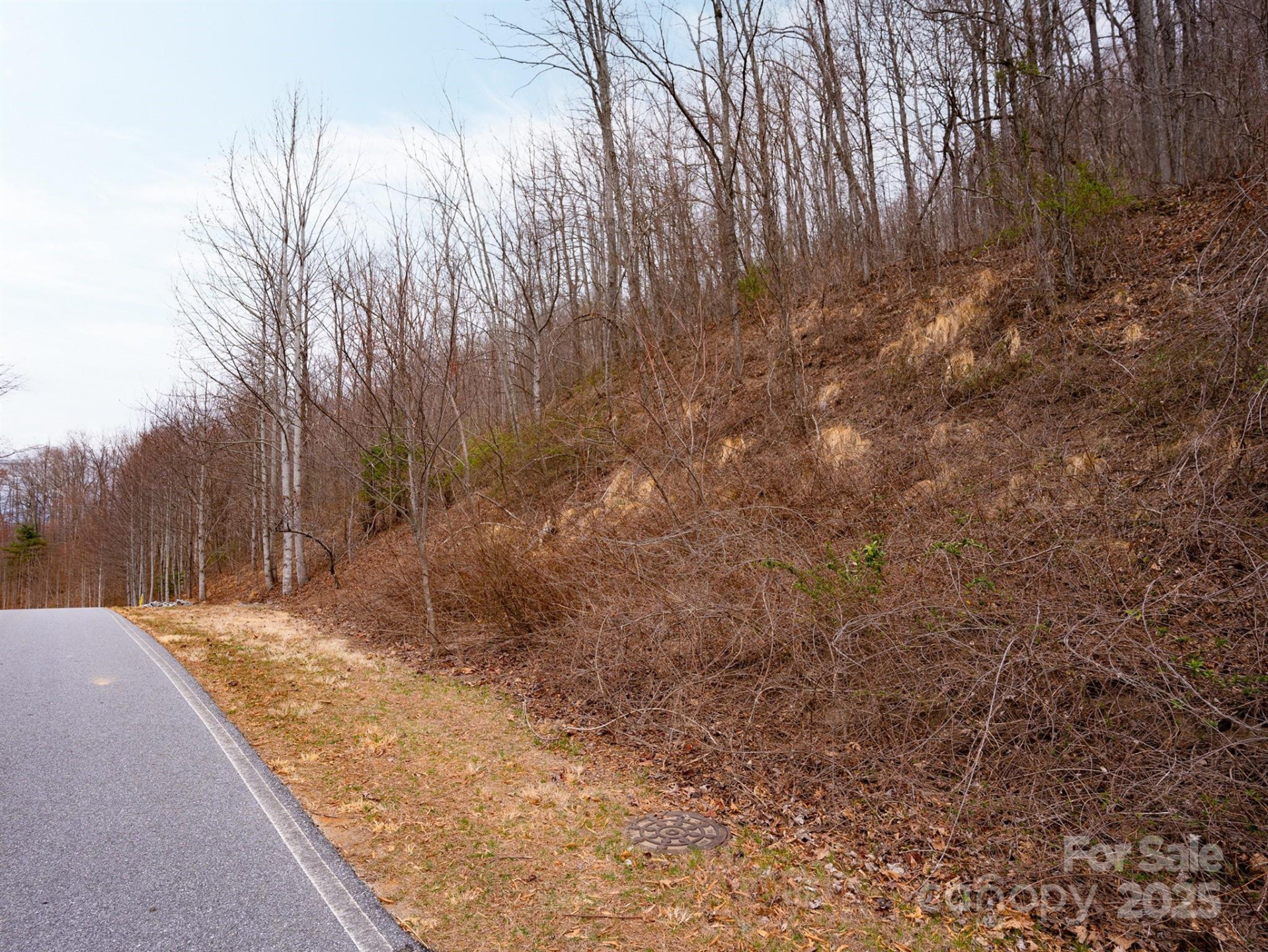 630 Somersby Parkway #1 - Photo 11