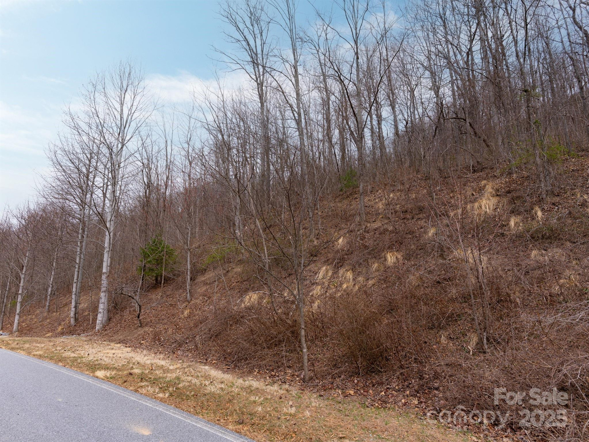 630 Somersby Parkway #1 - Photo 12