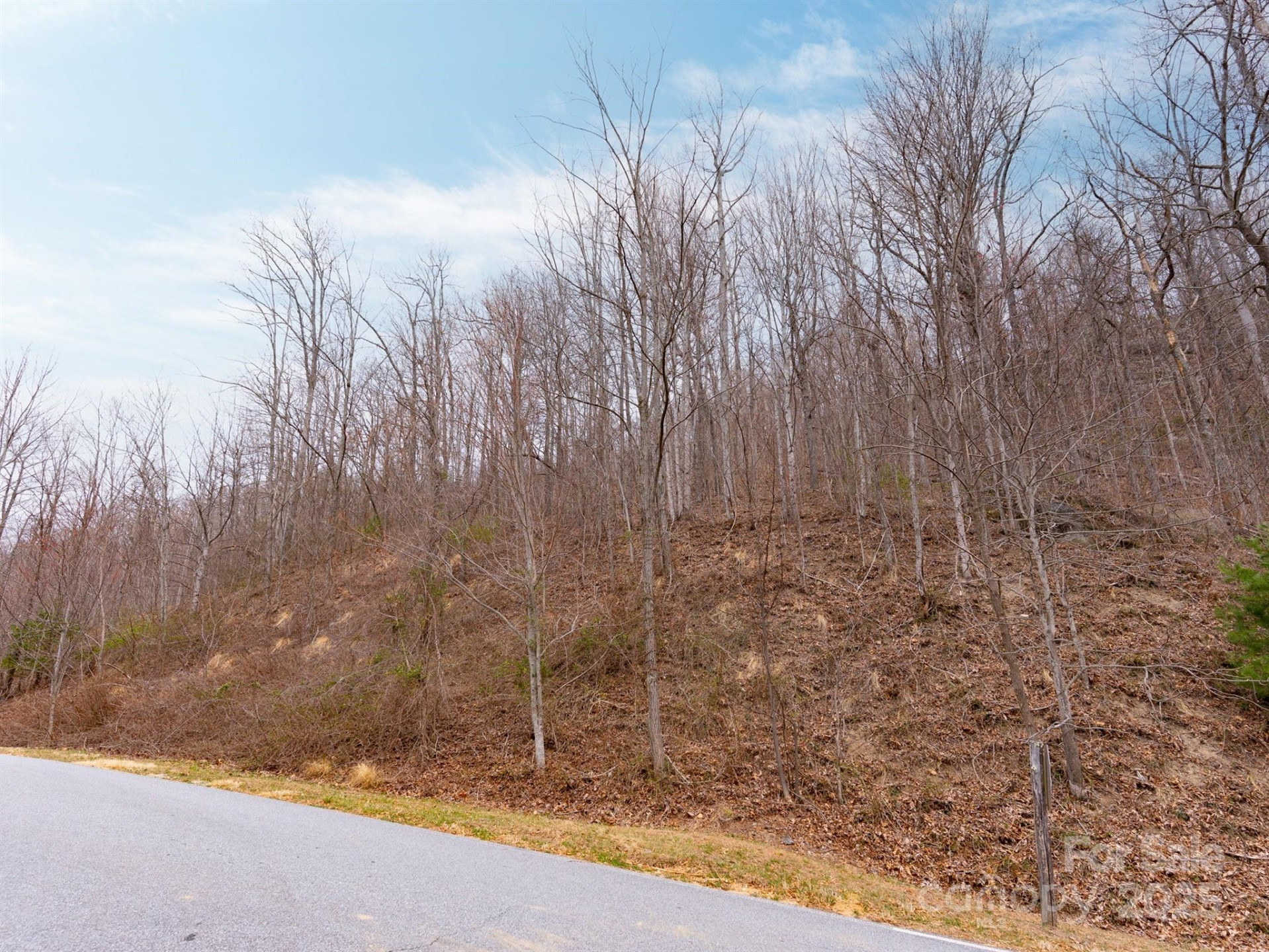 630 Somersby Parkway #1 - Photo 13