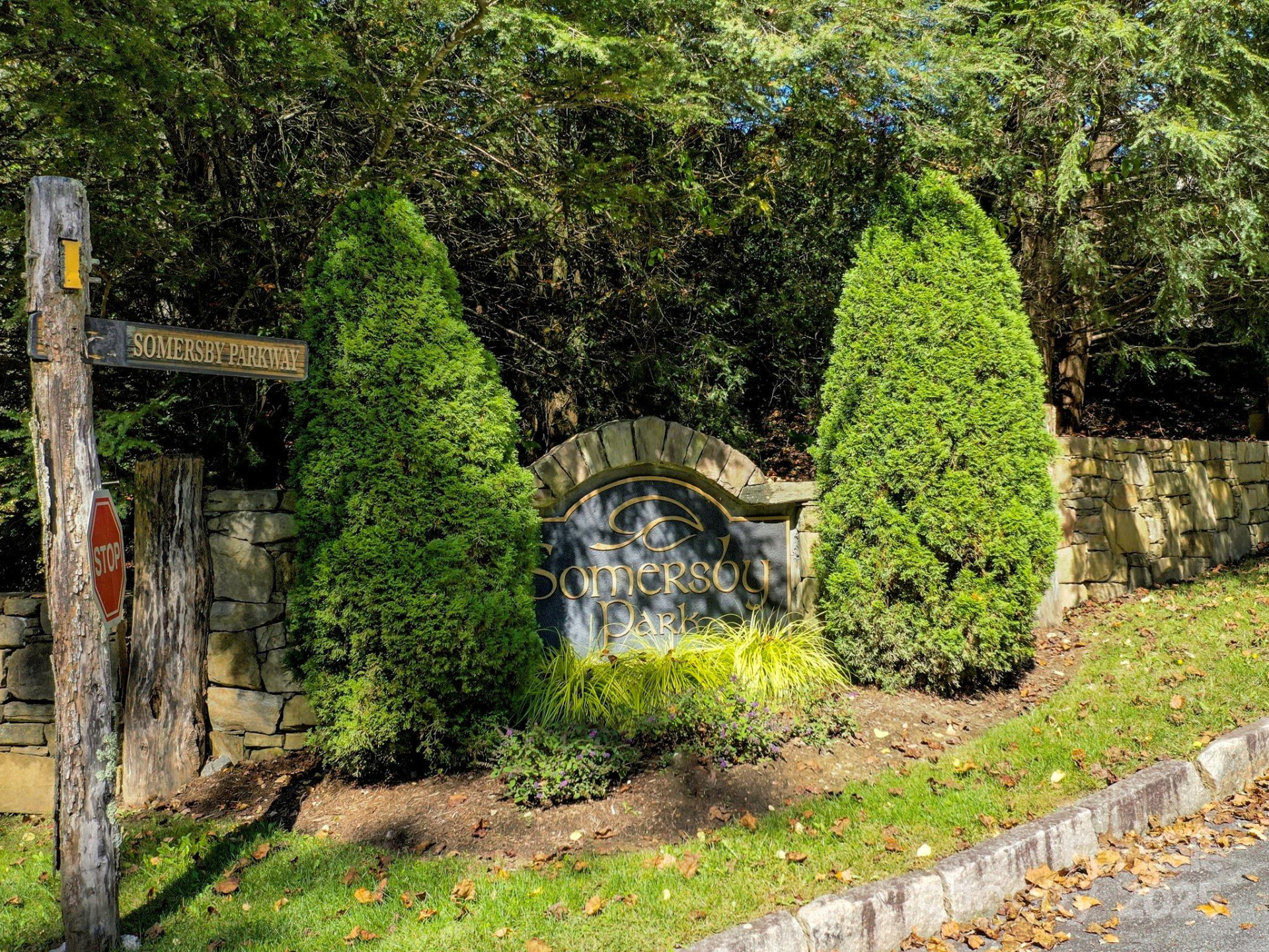 630 Somersby Parkway #1 - Photo 15