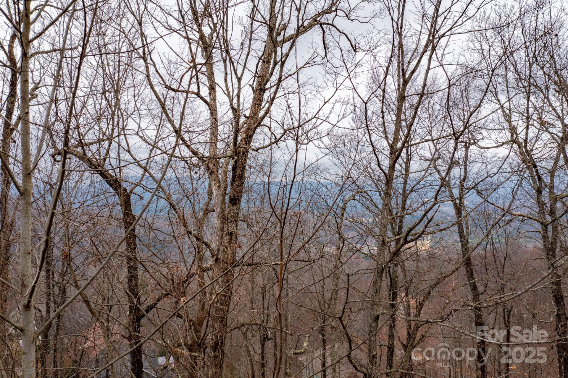 630 Somersby Parkway #1 - Photo 6