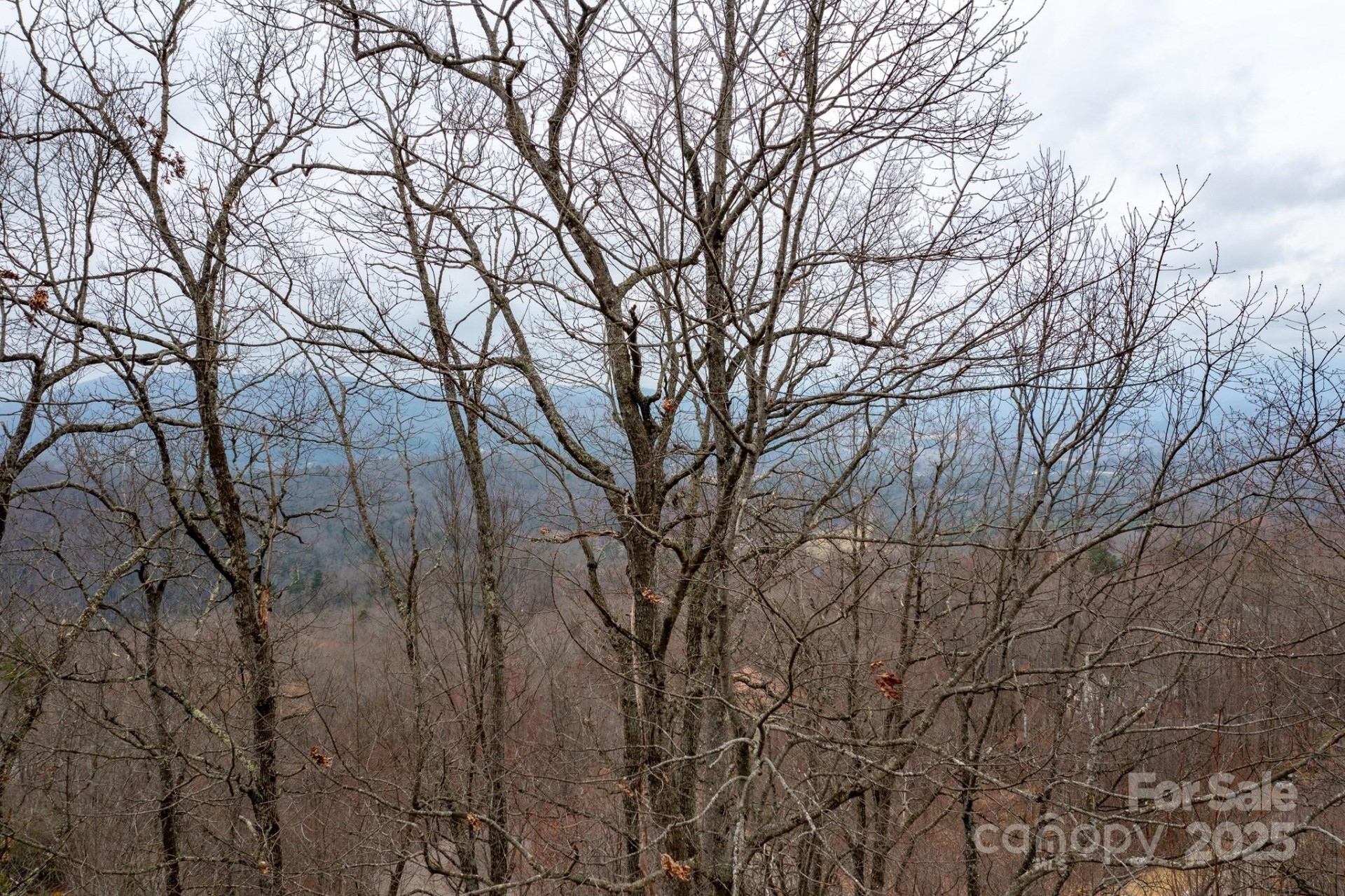 630 Somersby Parkway #1 - Photo 9