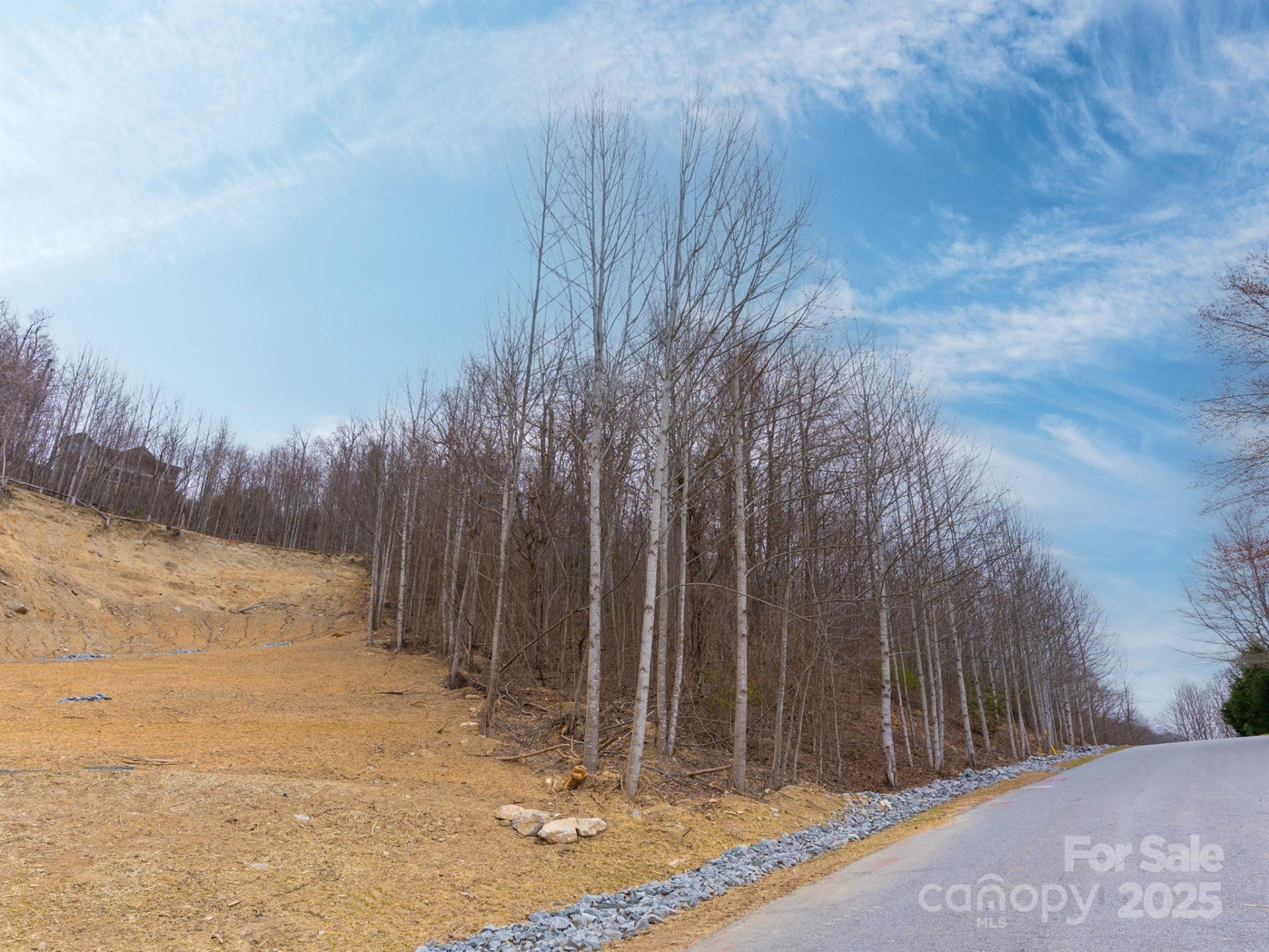 630 Somersby Parkway #1 - Photo 10