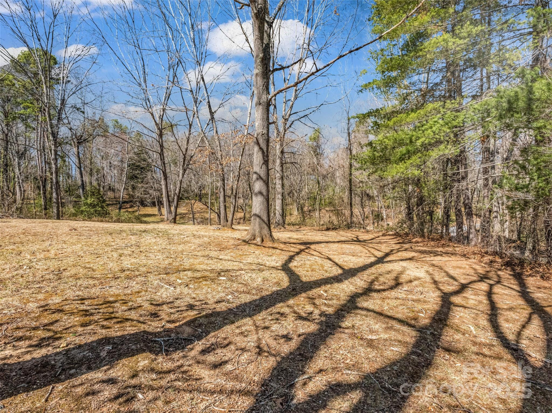 156 Warren Wilson Road - Photo 2