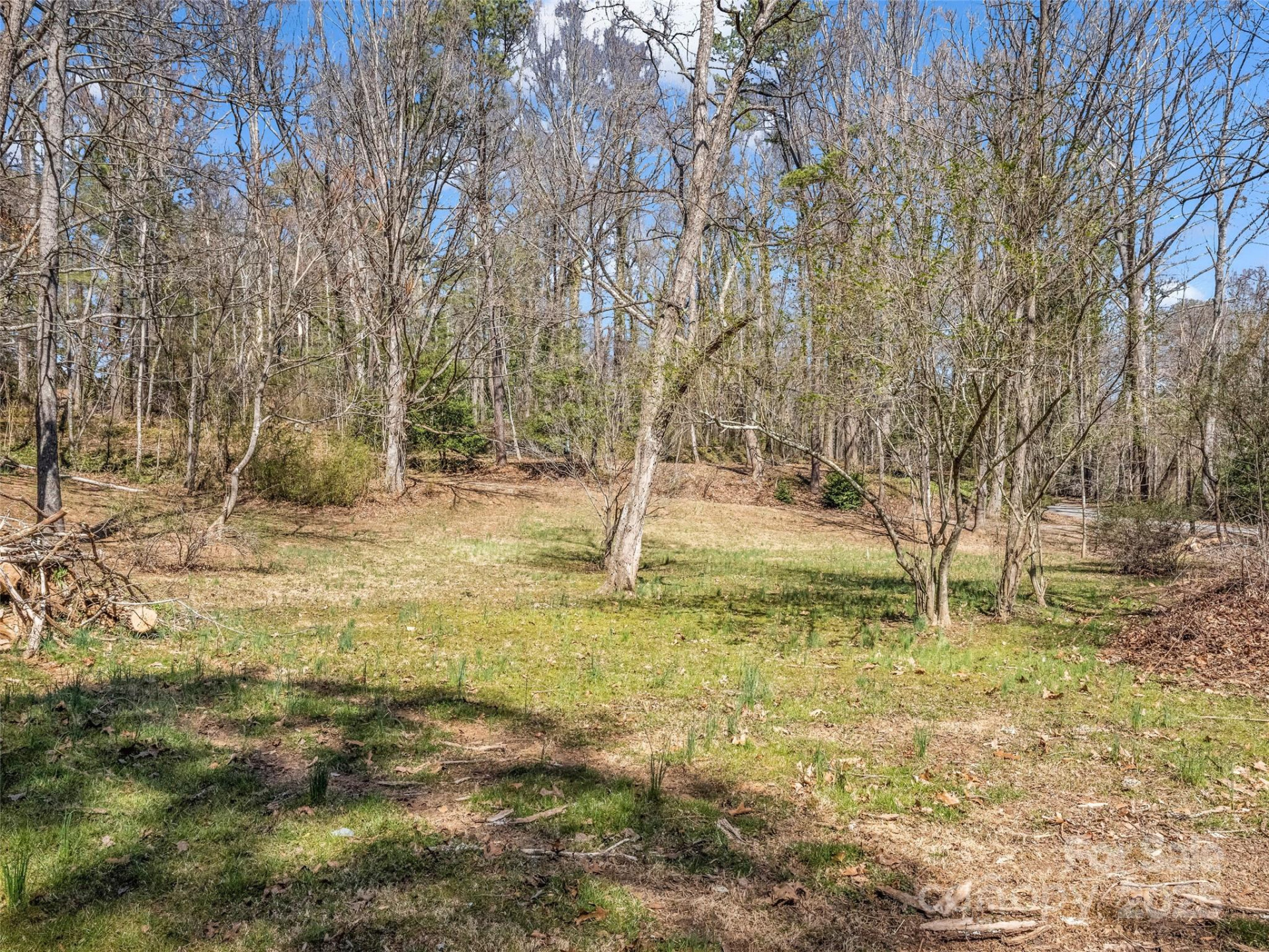 156 Warren Wilson Road - Photo 12