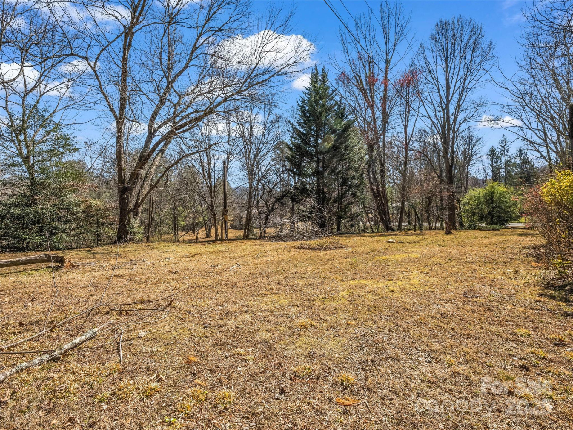 156 Warren Wilson Road - Photo 14