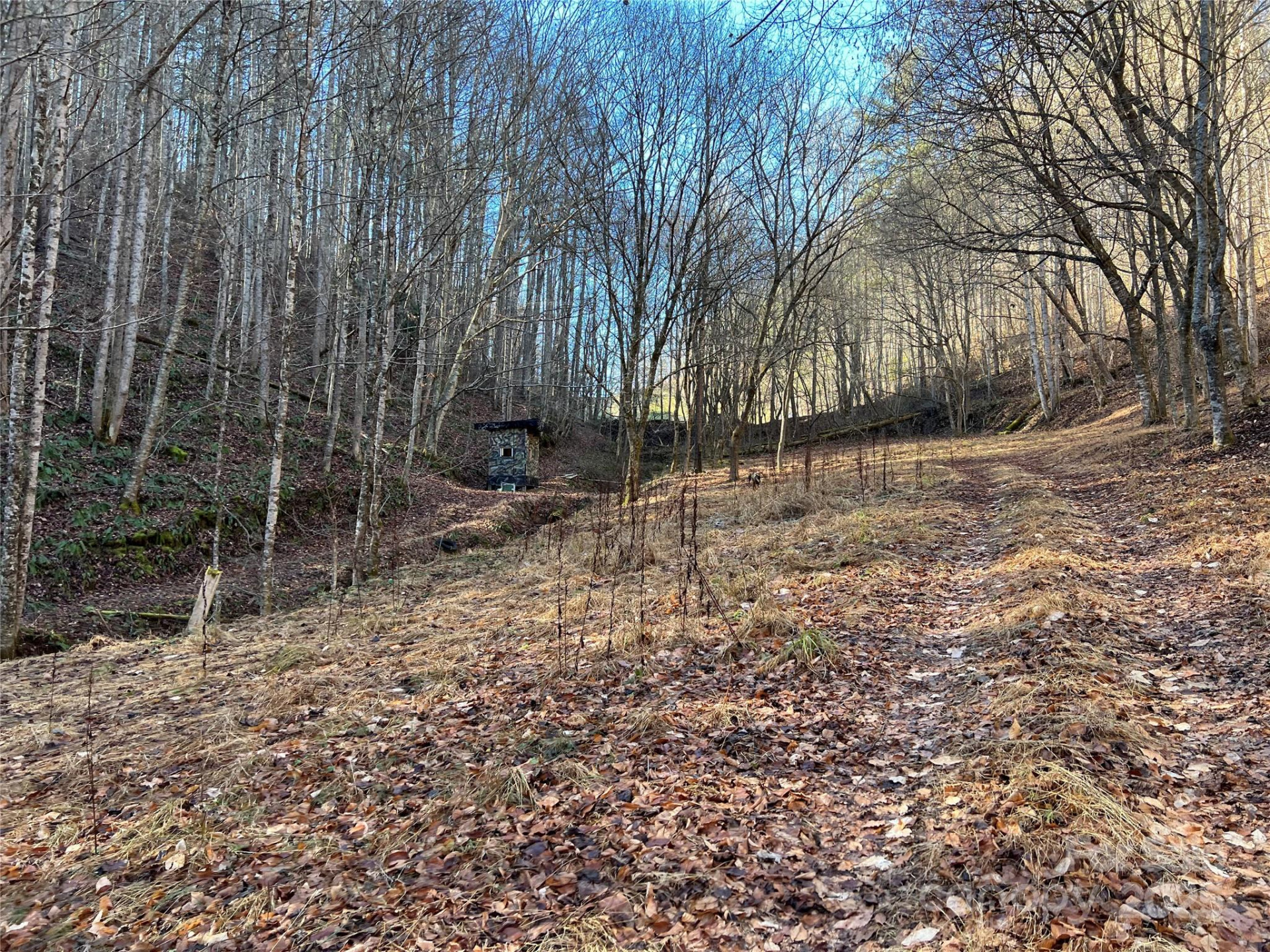 12982 US Hwy 19W None - Photo 35