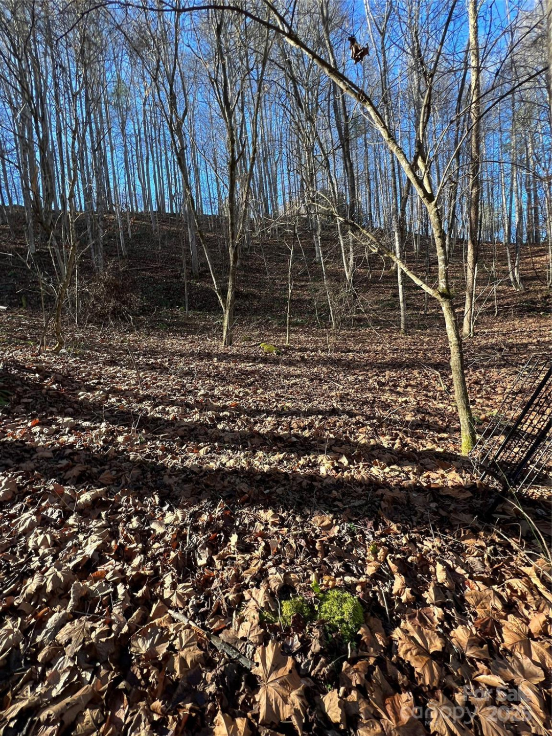 12982 US Hwy 19W None - Photo 36