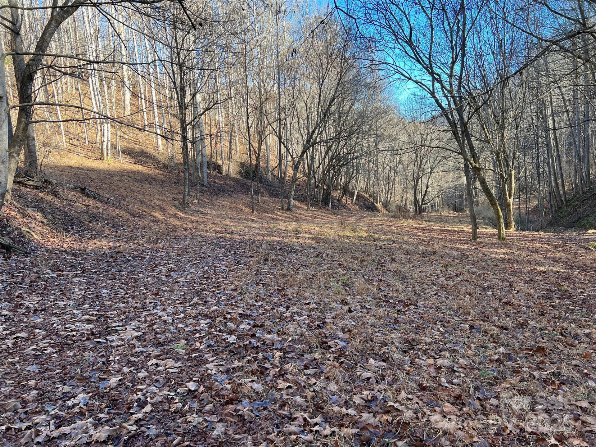 12982 US Hwy 19W None - Photo 41