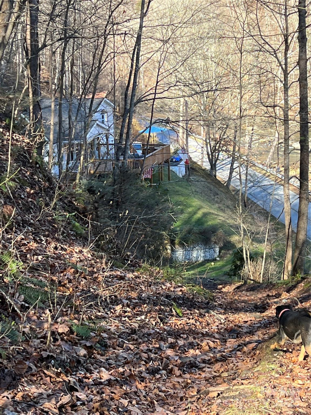 12982 US Hwy 19W None - Photo 43