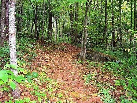 31 Whispering Falls Court #73 - Photo 43