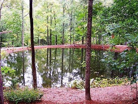 31 Whispering Falls Court #73 - Photo 44