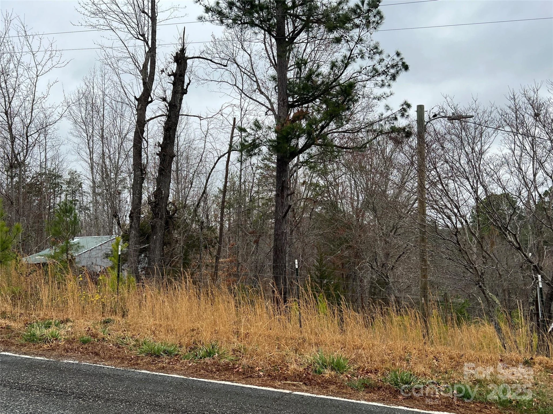 1217 Freeman Road - Photo 12